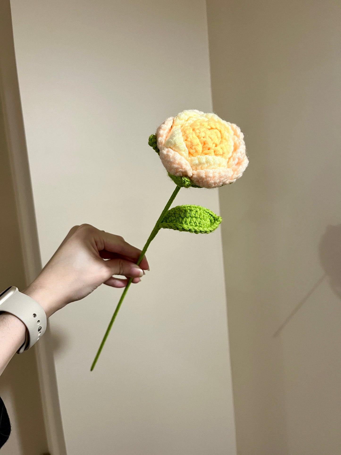 Rounded Roses