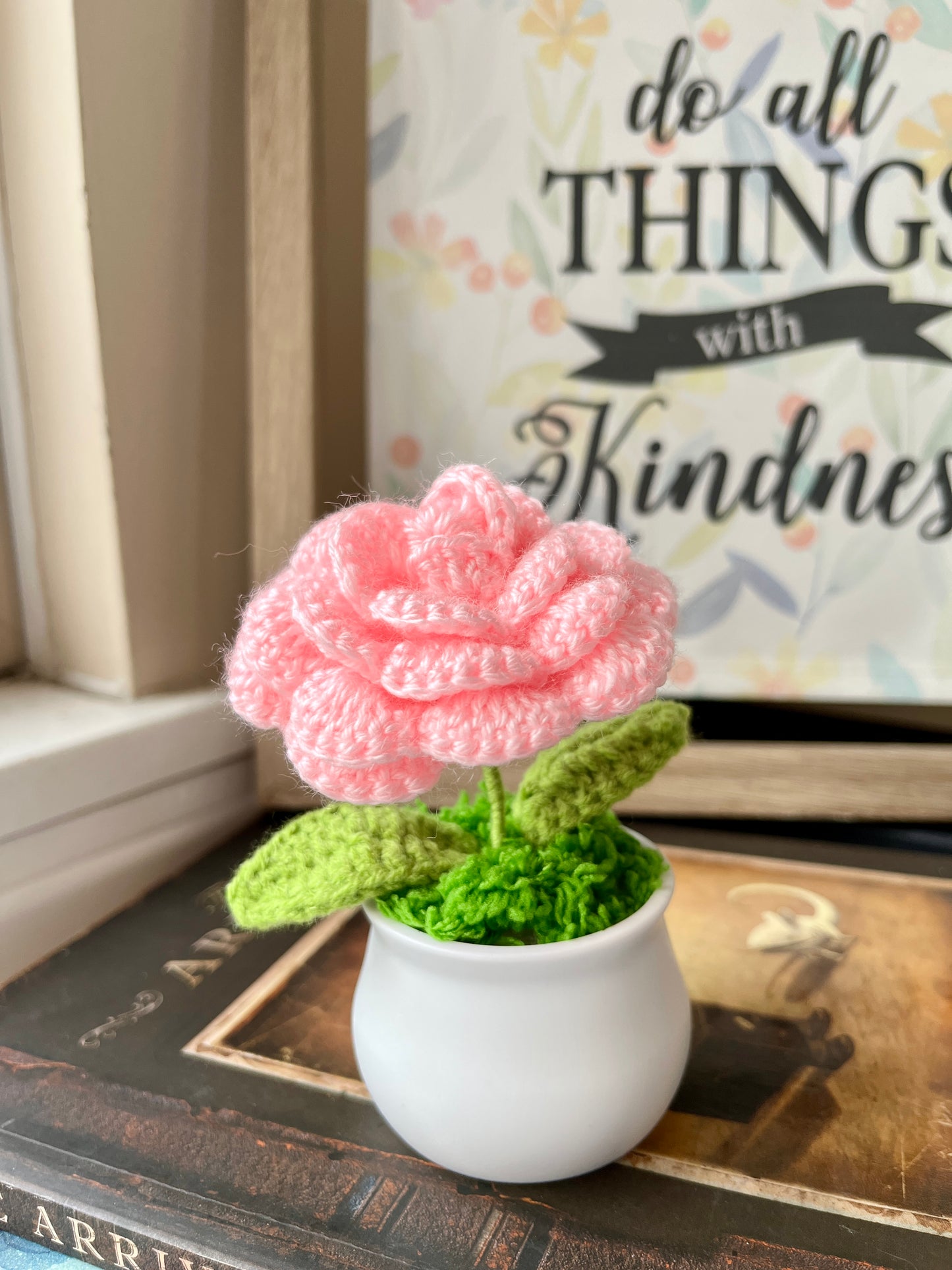 Rose Pot