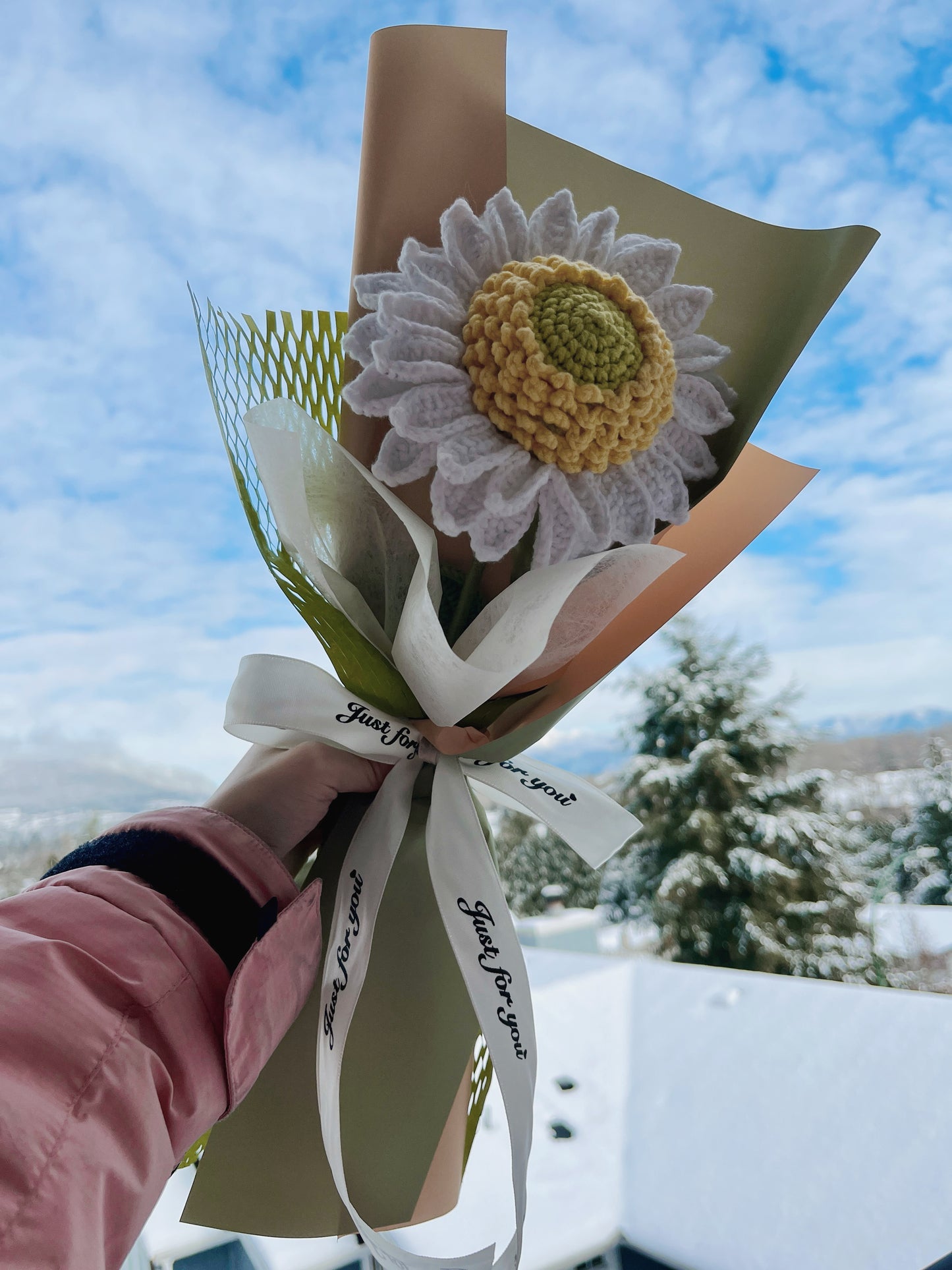 Single Stem White Double-Layer Sunflower Bouquet with Package