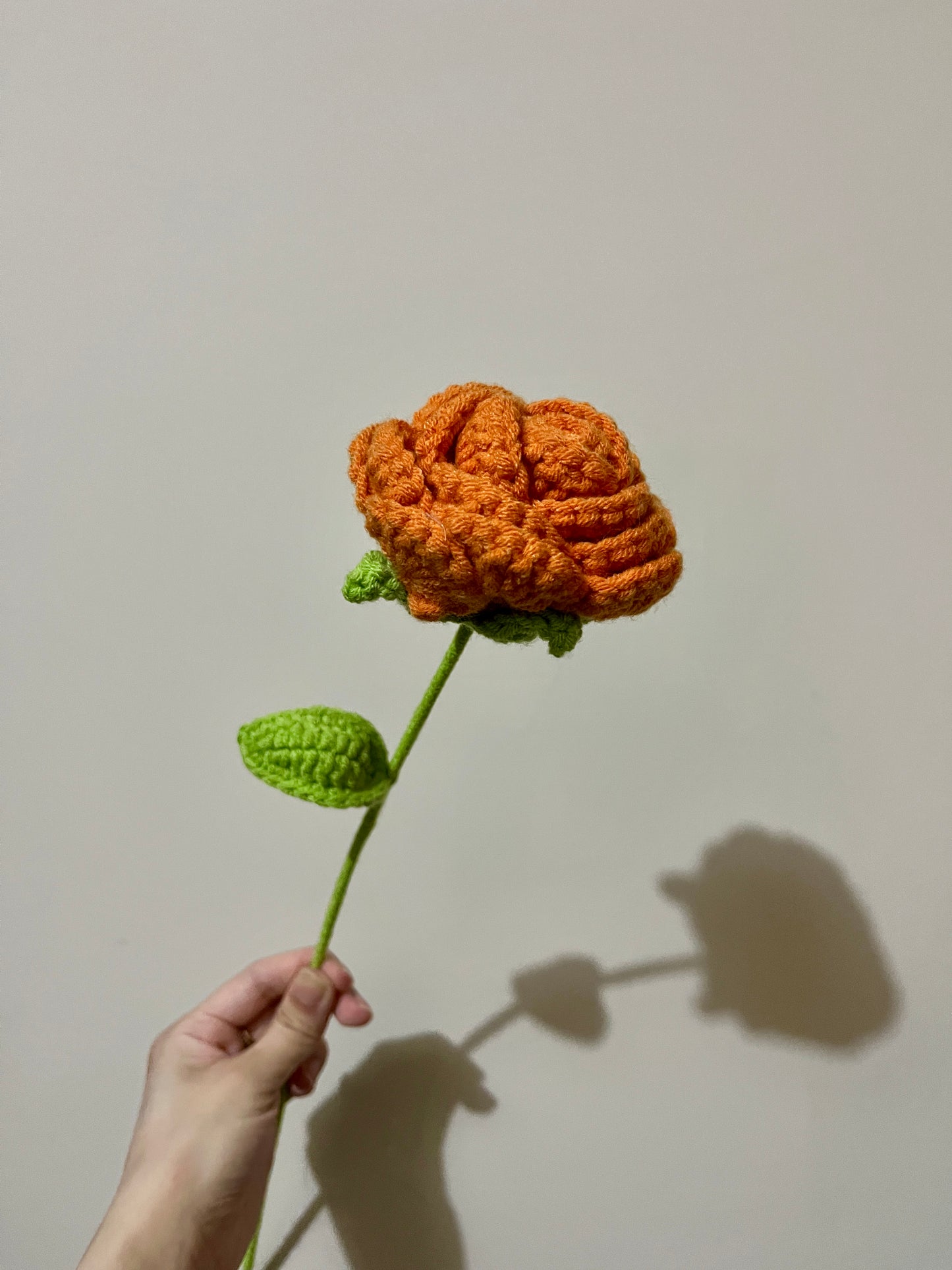 Rounded Roses