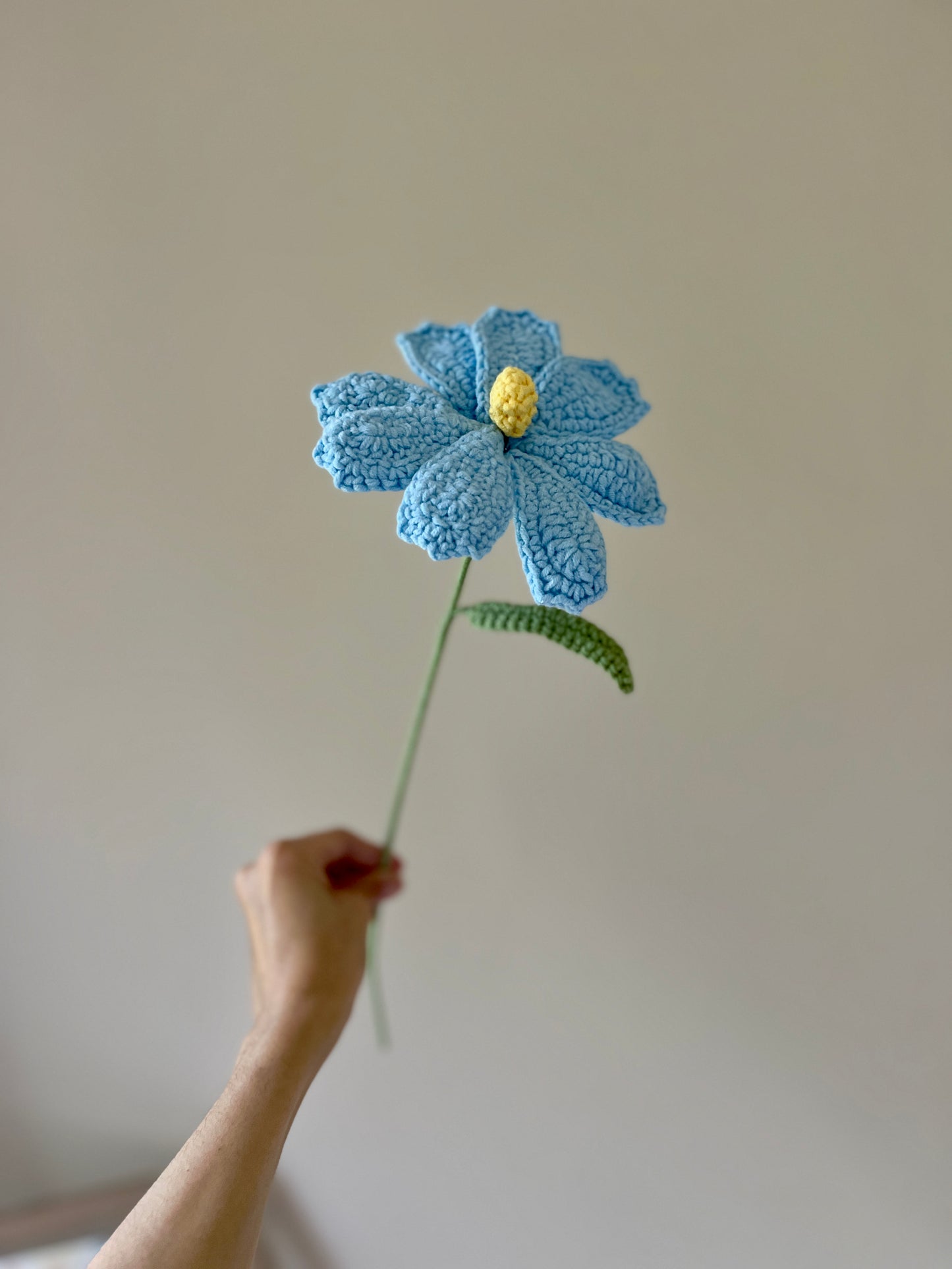 Cosmos
