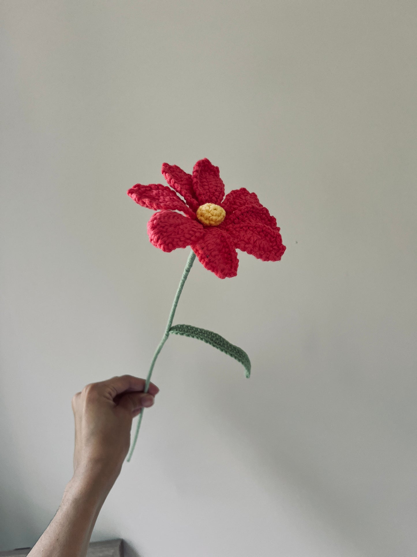 Cosmos