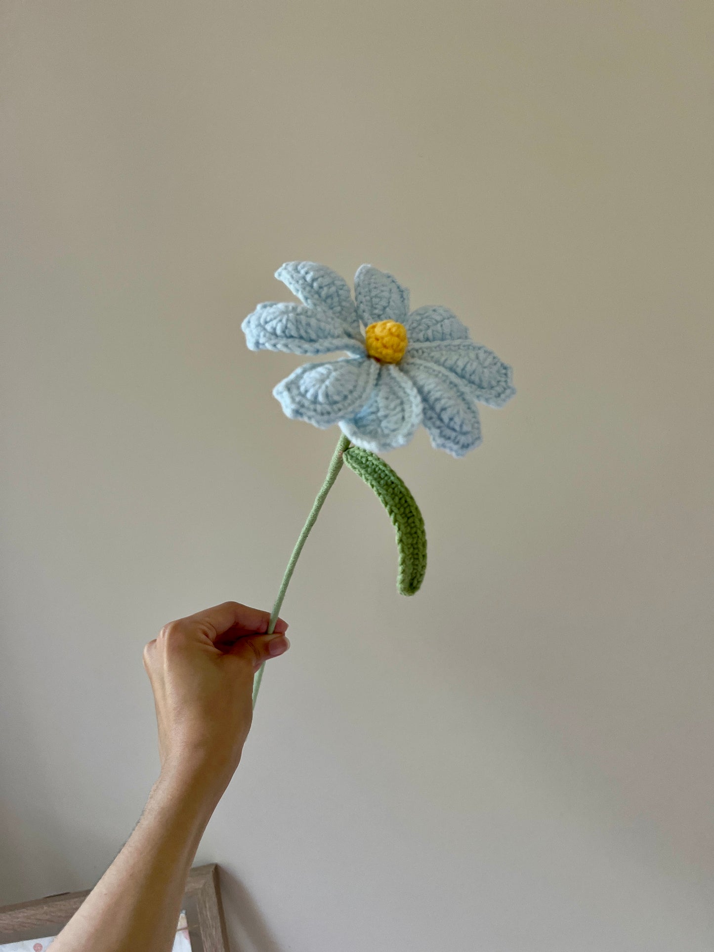 Cosmos