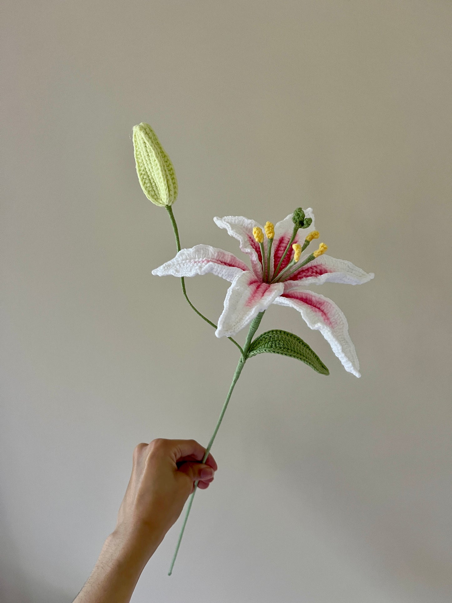 Oriental Lilly