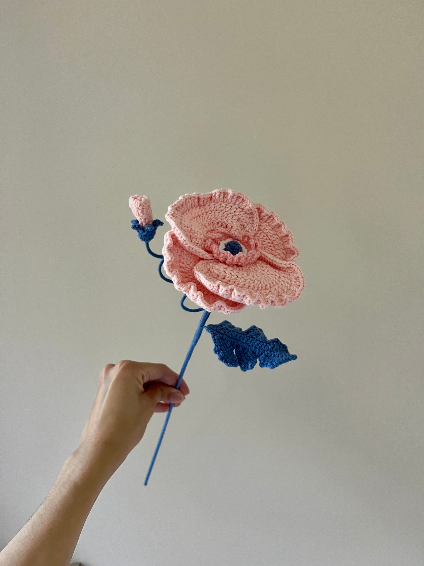 Poppy with bud