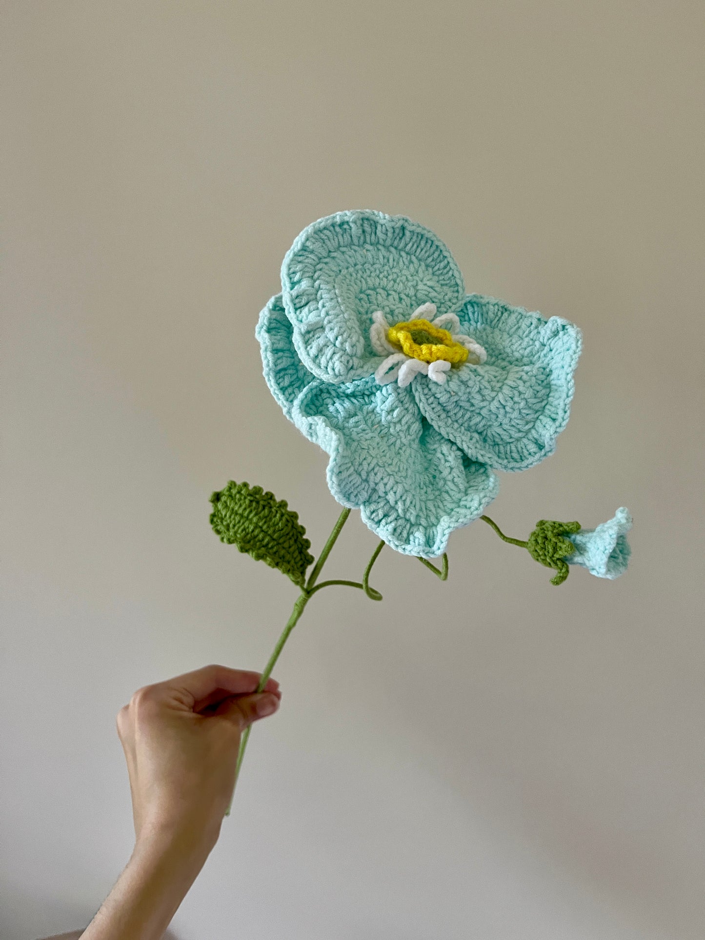 Poppy with bud