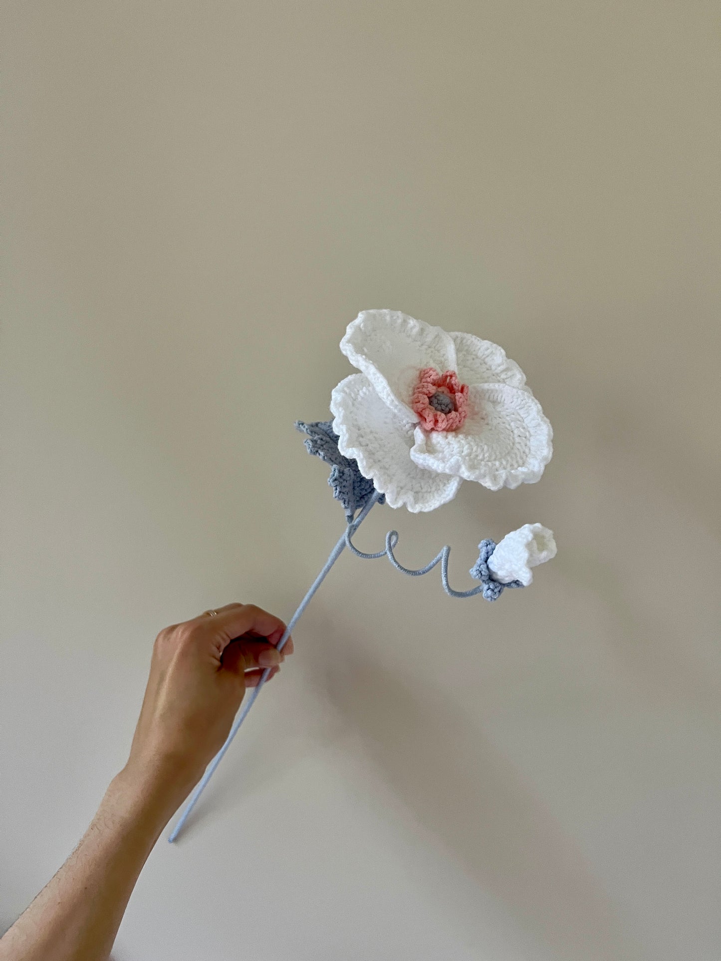Poppy with bud