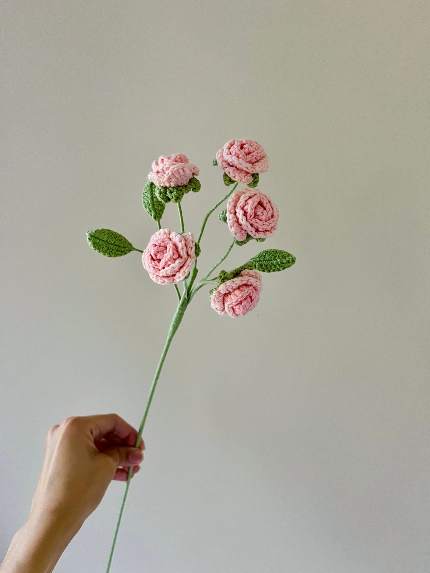 Spray Rose