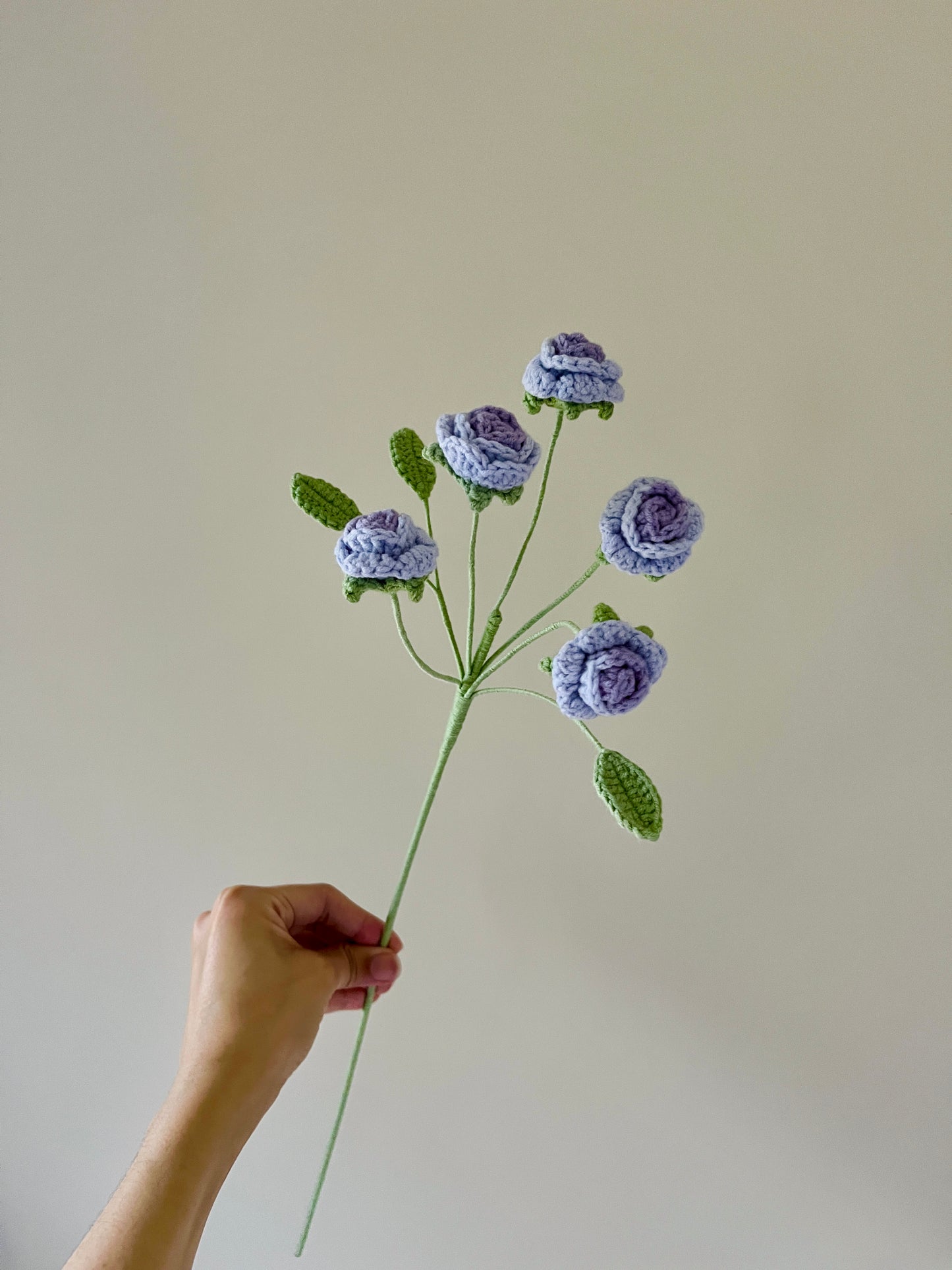 Spray Rose