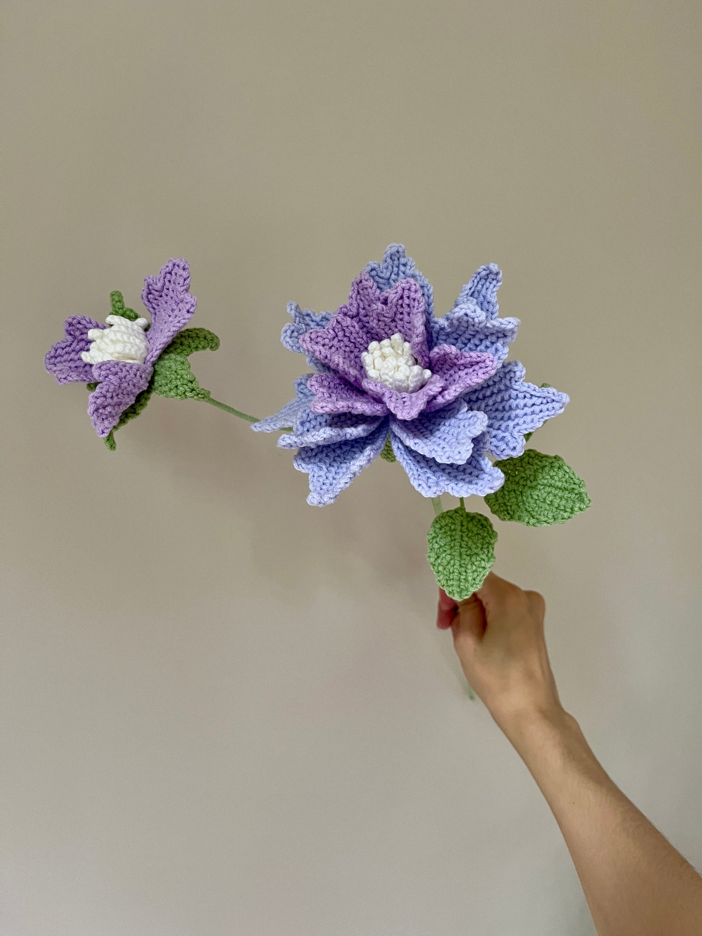 Tilia