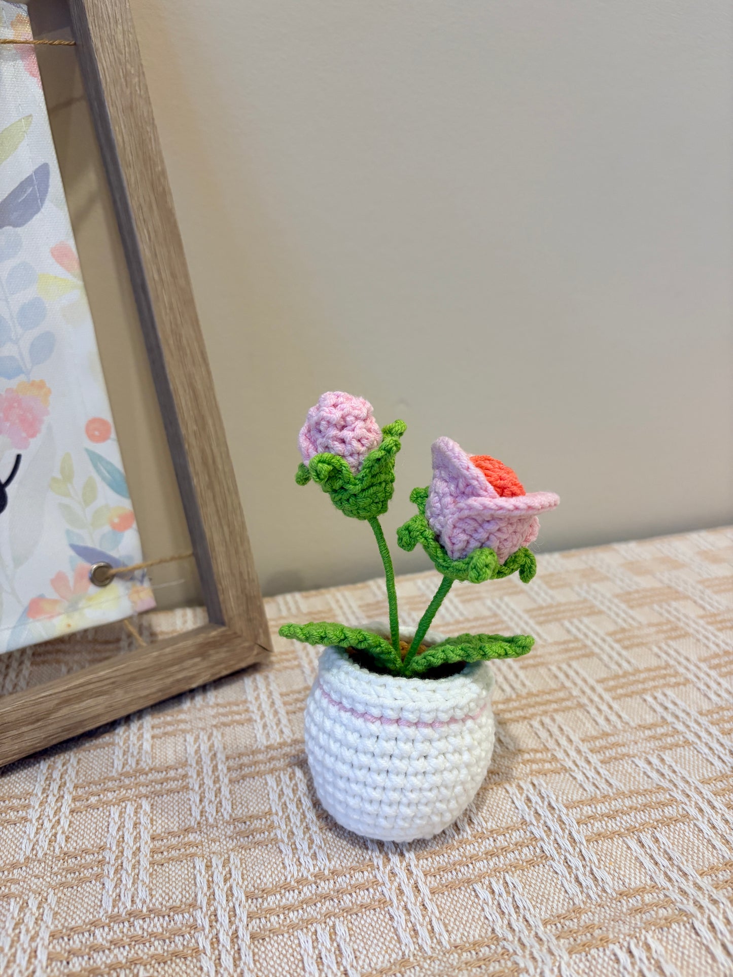 Pink Baby Rose with crochet pot