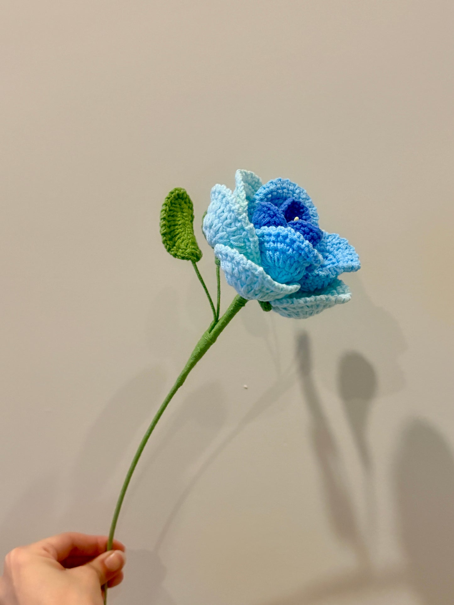 French Rose