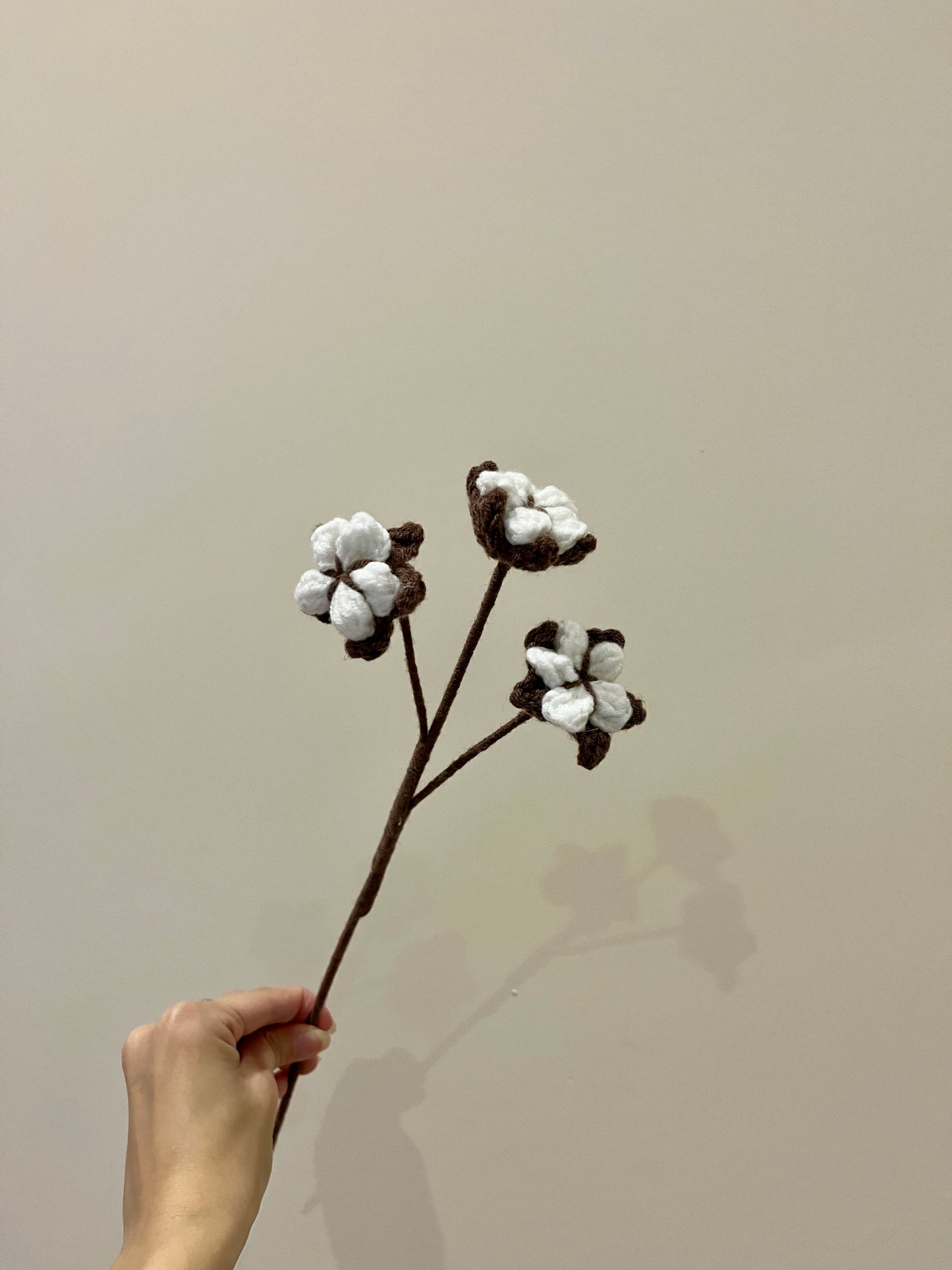 Cotton