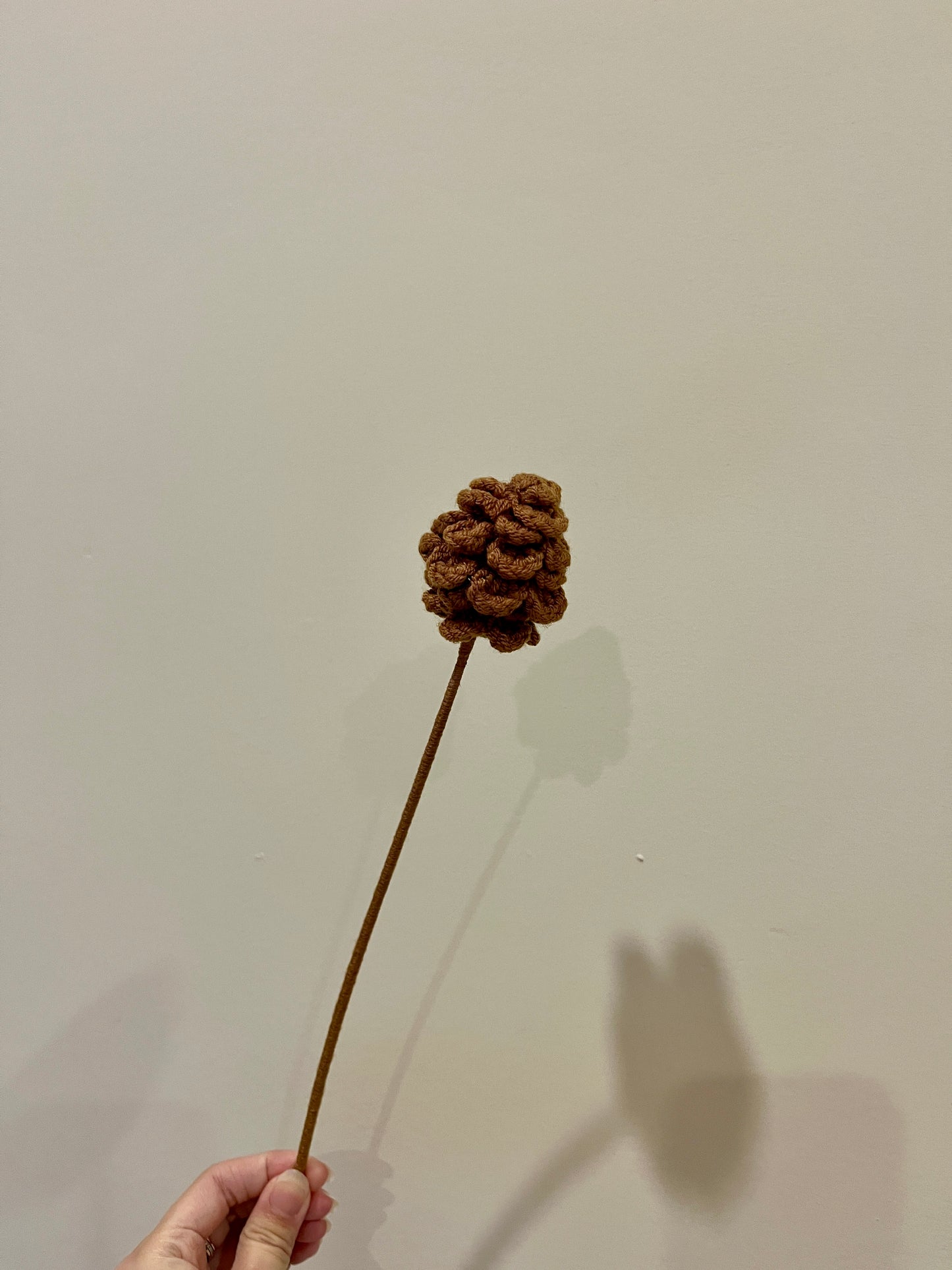 Pine Nut