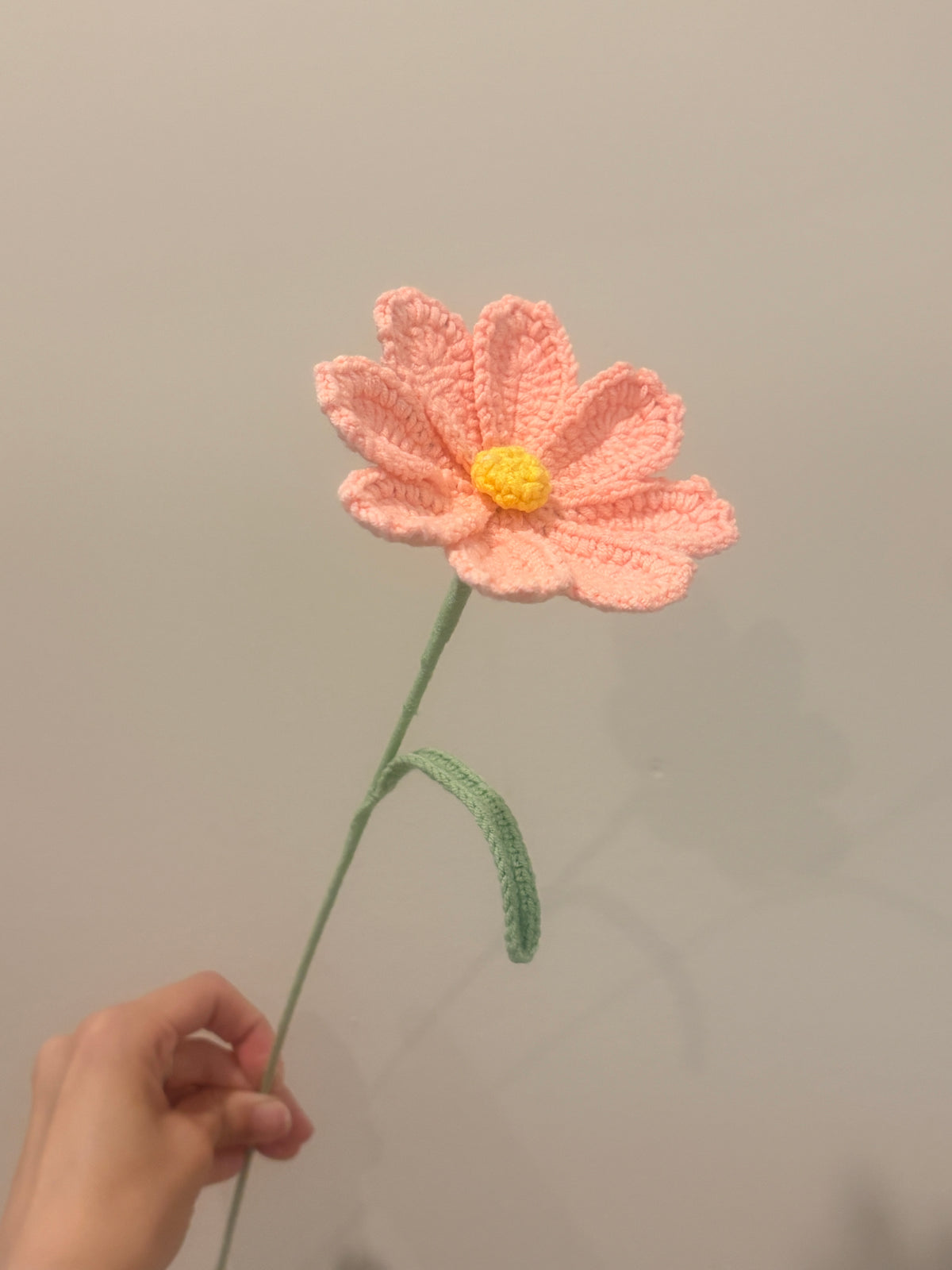 Cosmos
