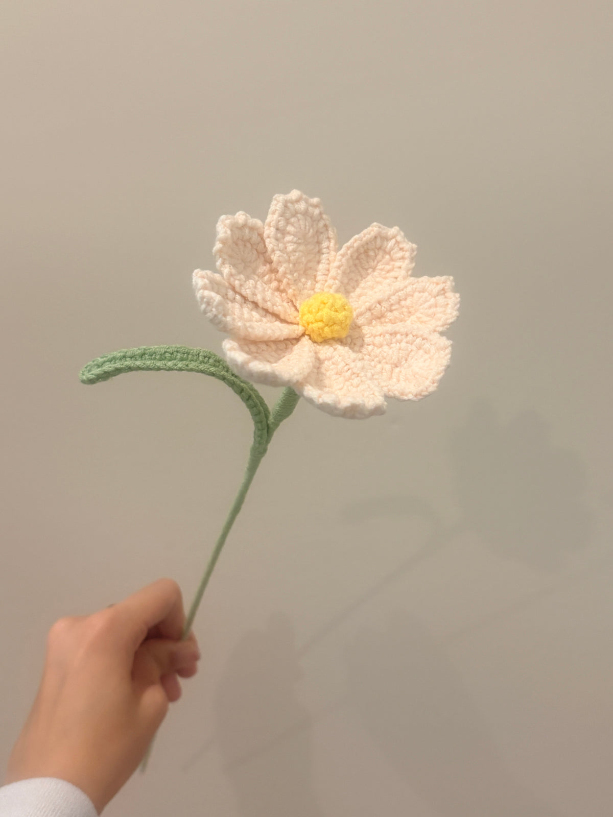 Cosmos