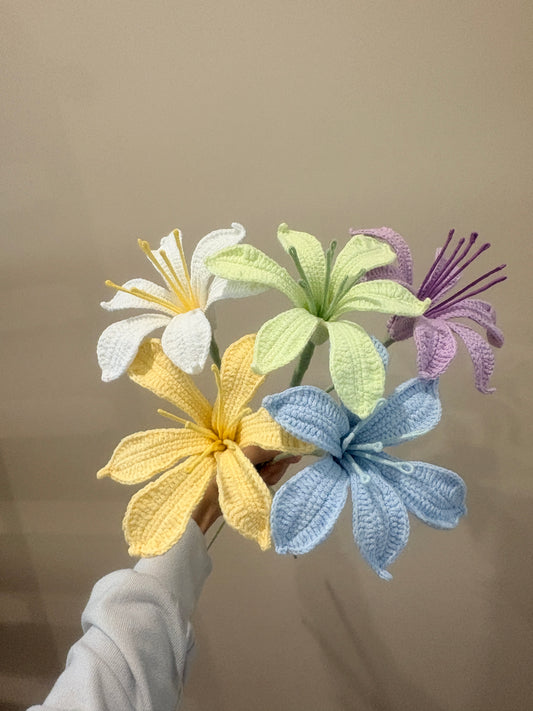 Peruvian Lily