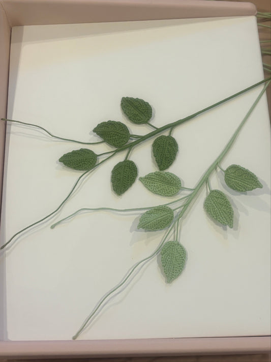 Rose Leaves