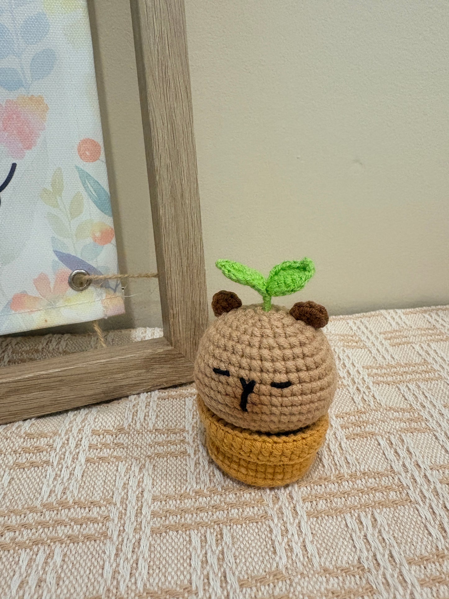 Capy Pot