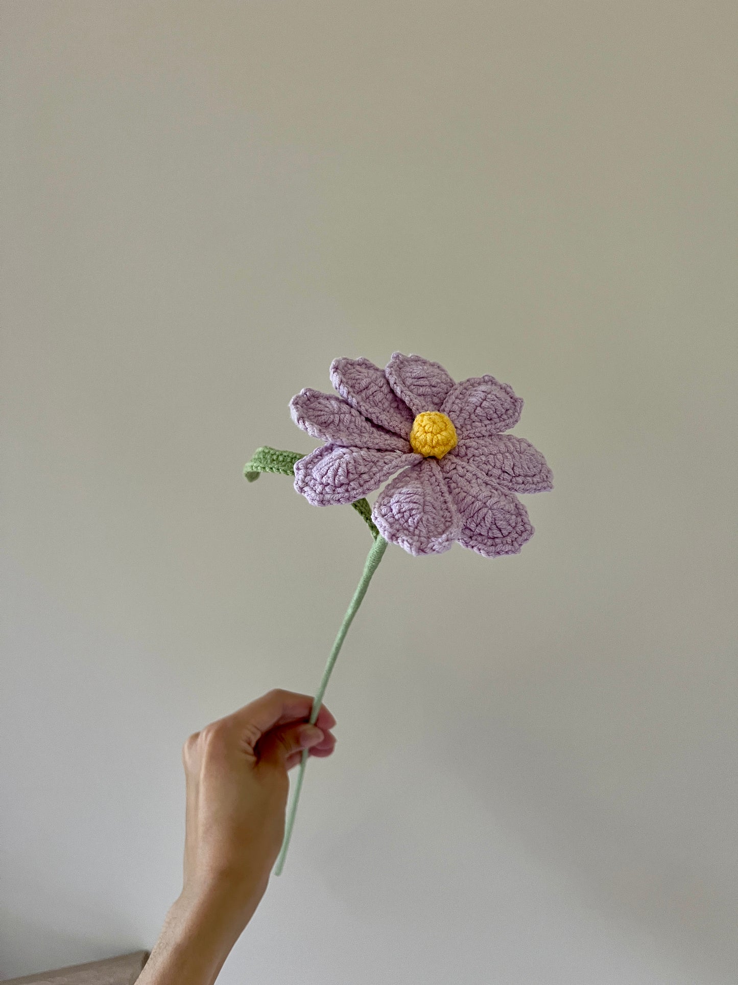 Cosmos