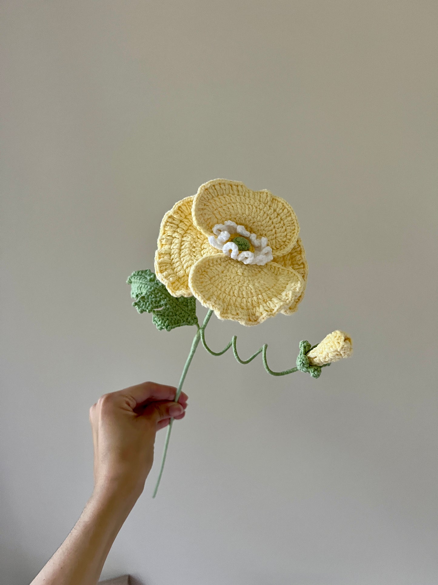 Poppy with bud