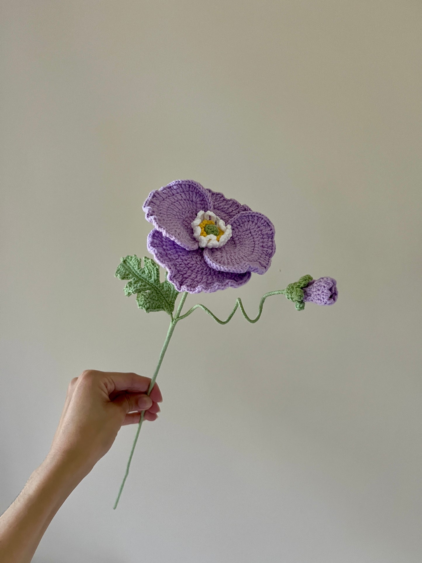 Poppy with bud