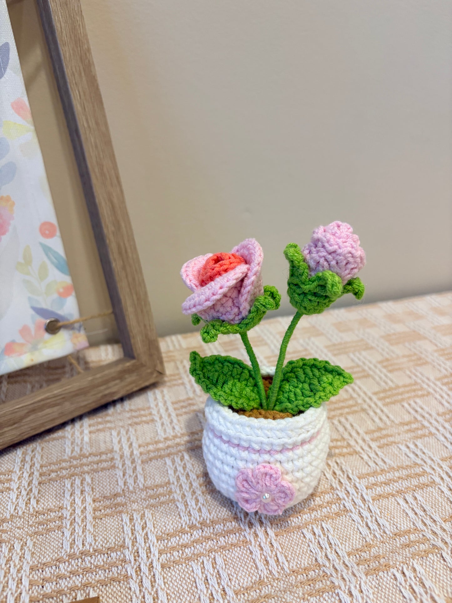 Pink Baby Rose with crochet pot