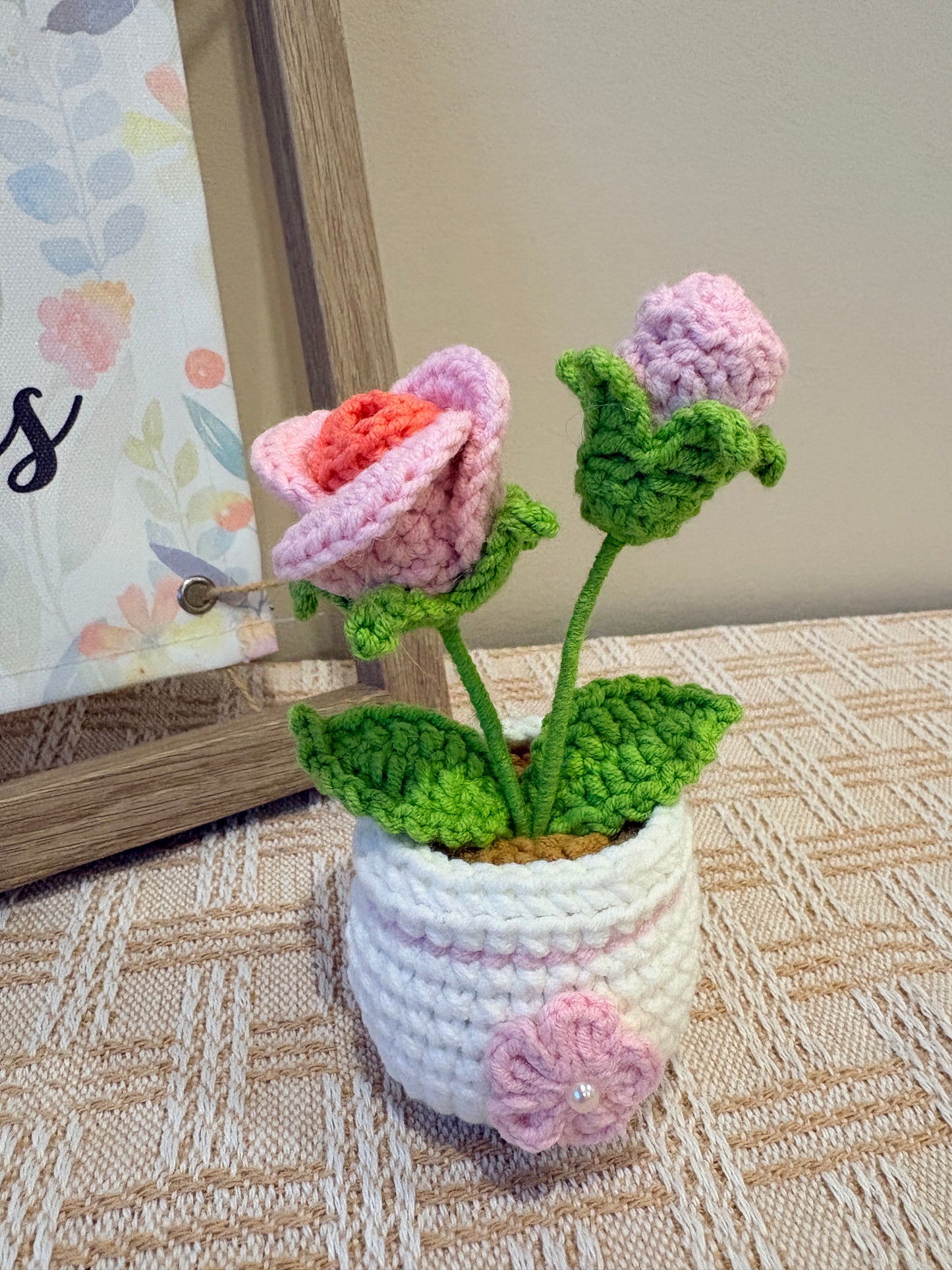 Pink Baby Rose with crochet pot