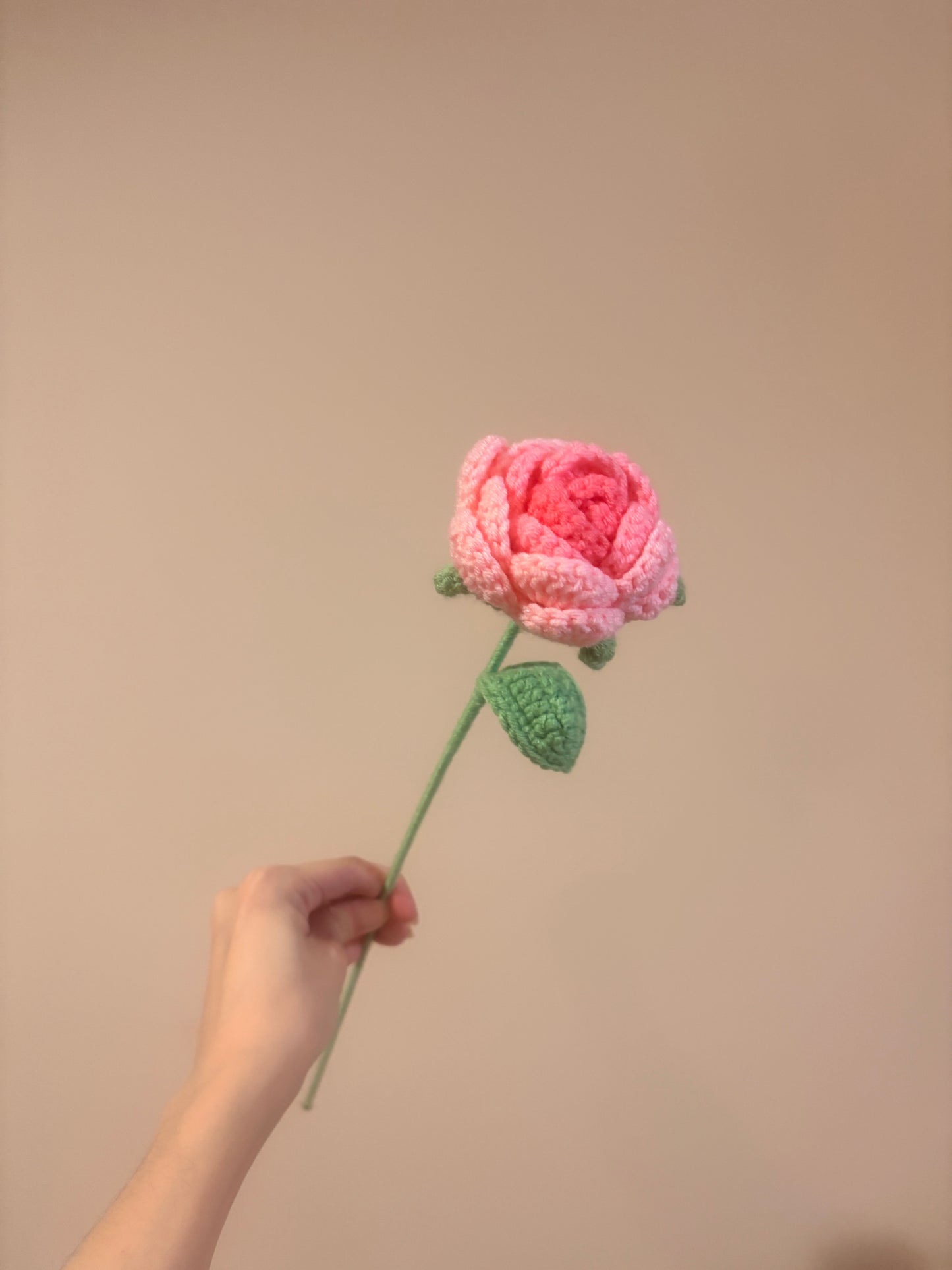 Rounded Roses