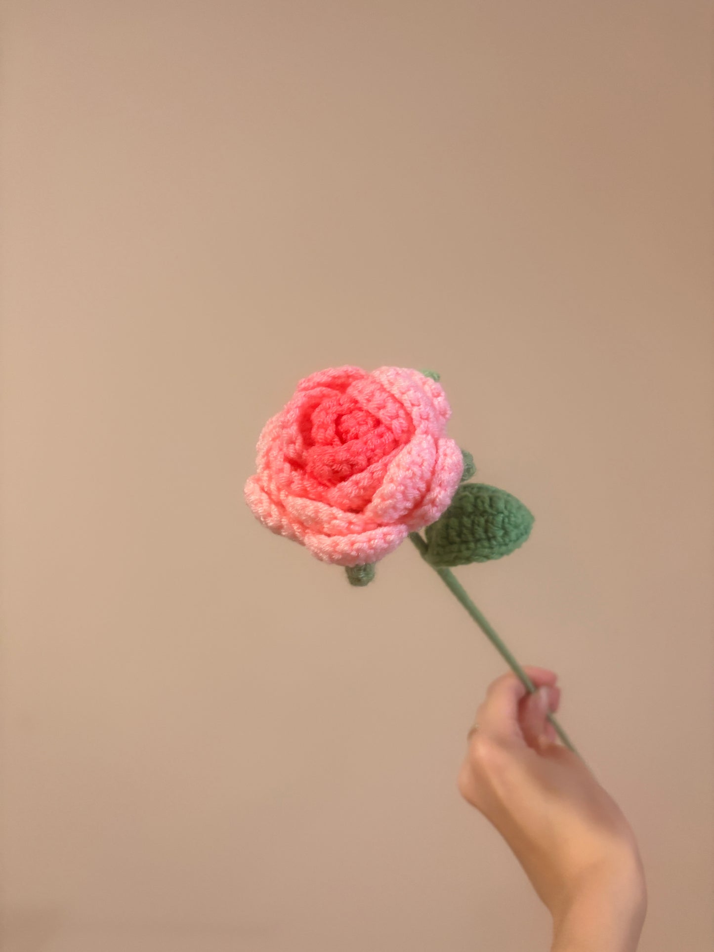 Rounded Roses