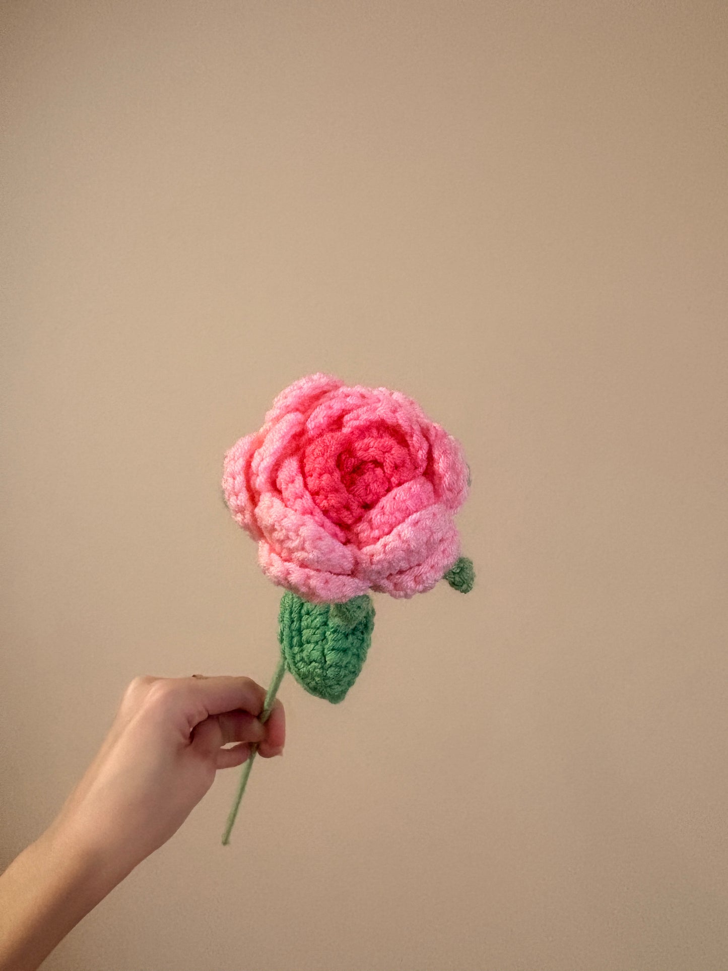 Rounded Roses