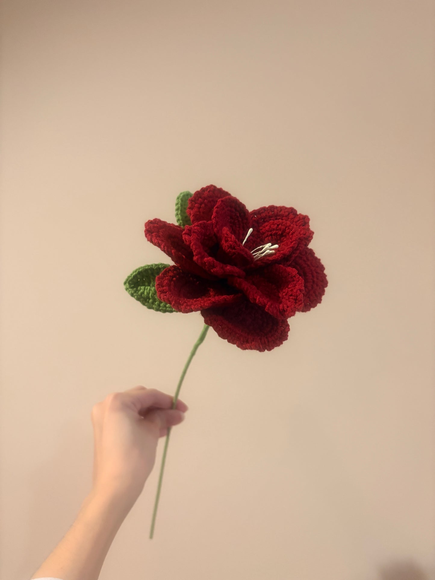French Rose
