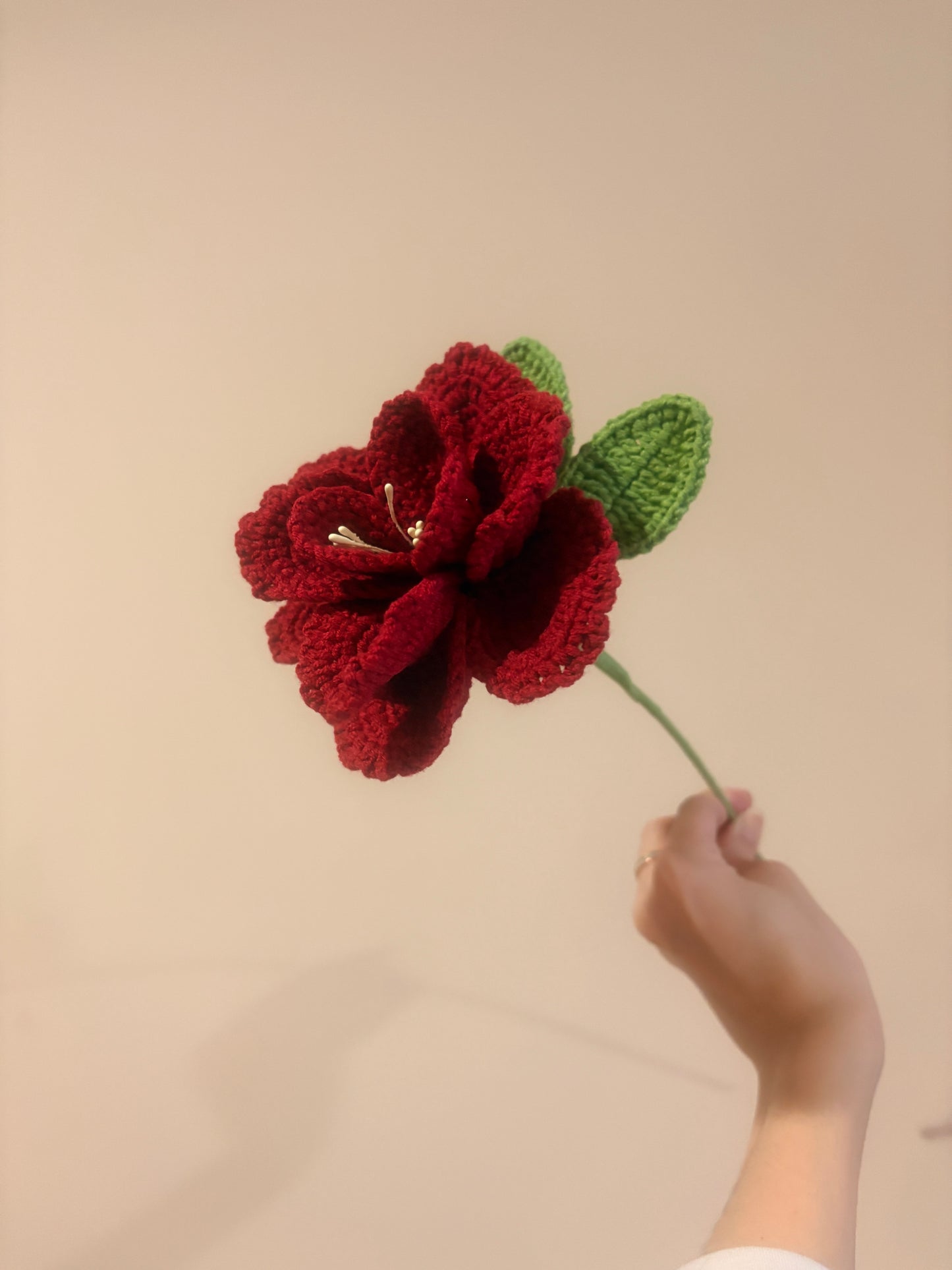 French Rose