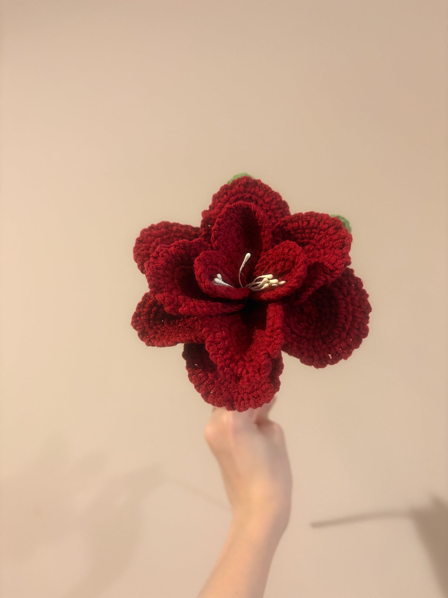 French Rose