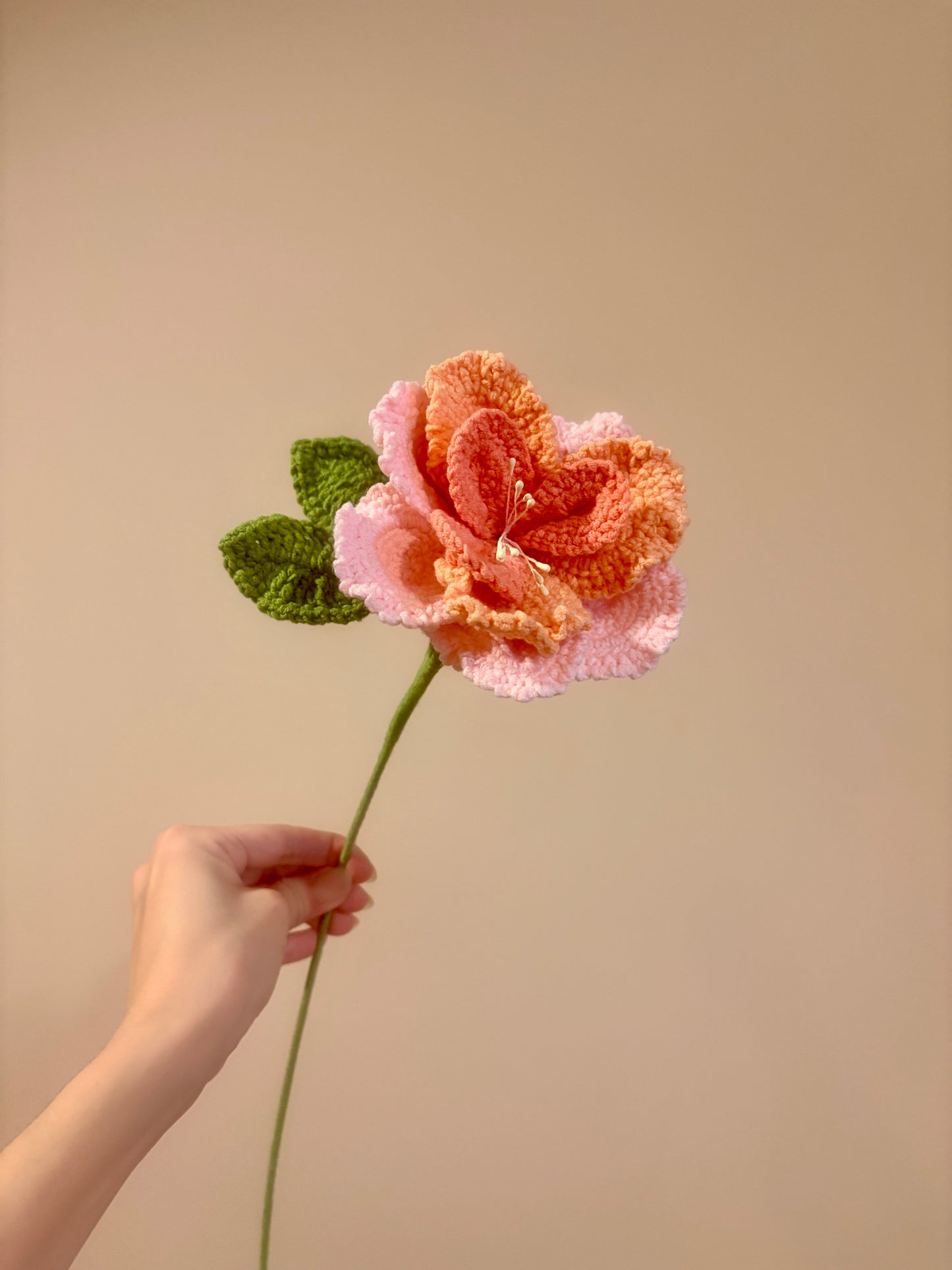 French Rose