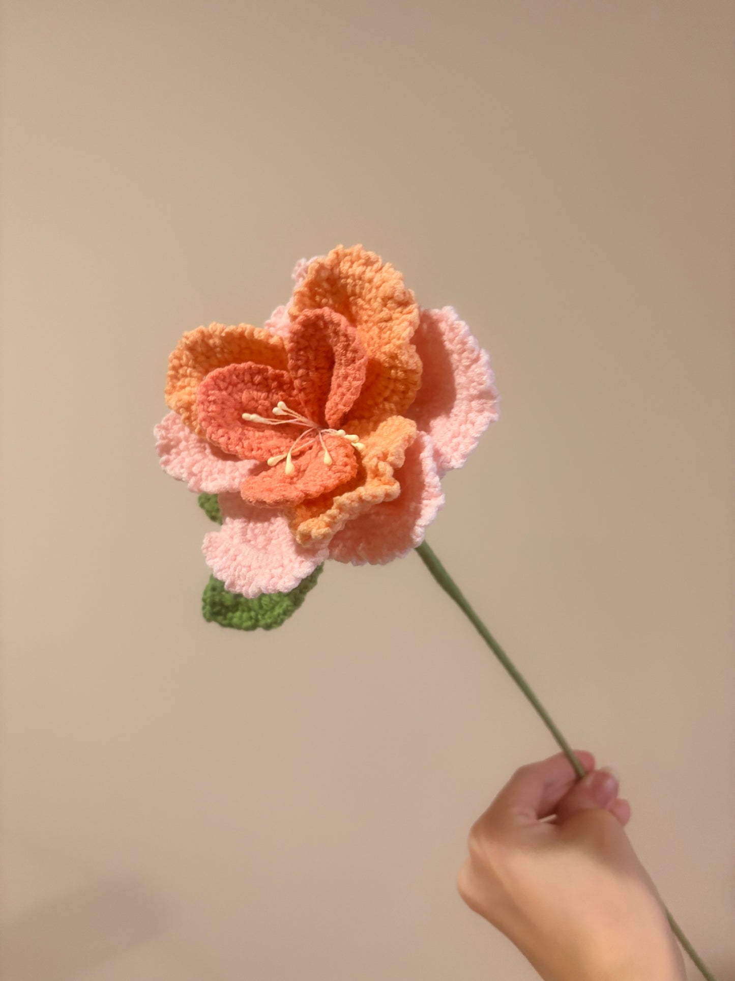 French Rose