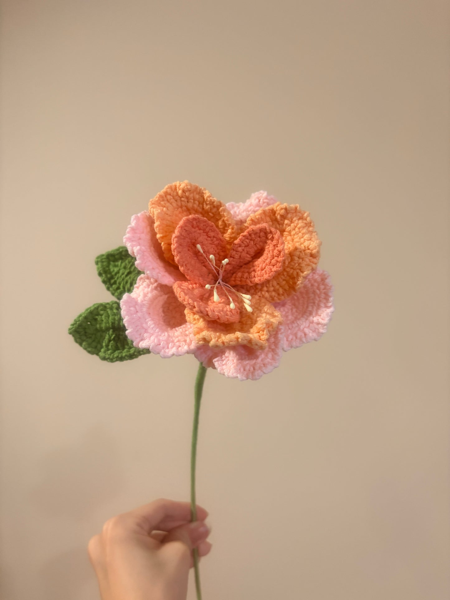French Rose
