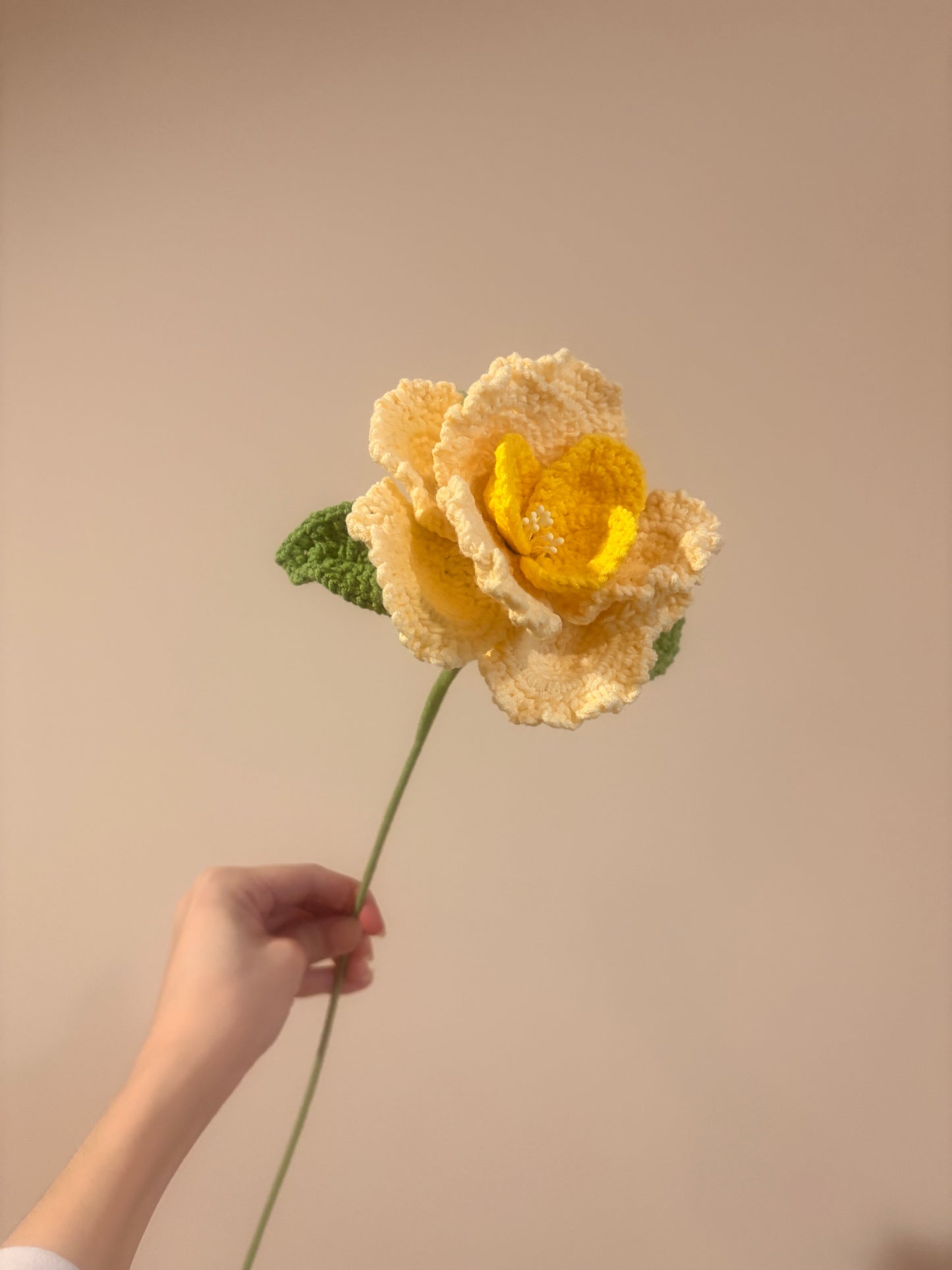 French Rose