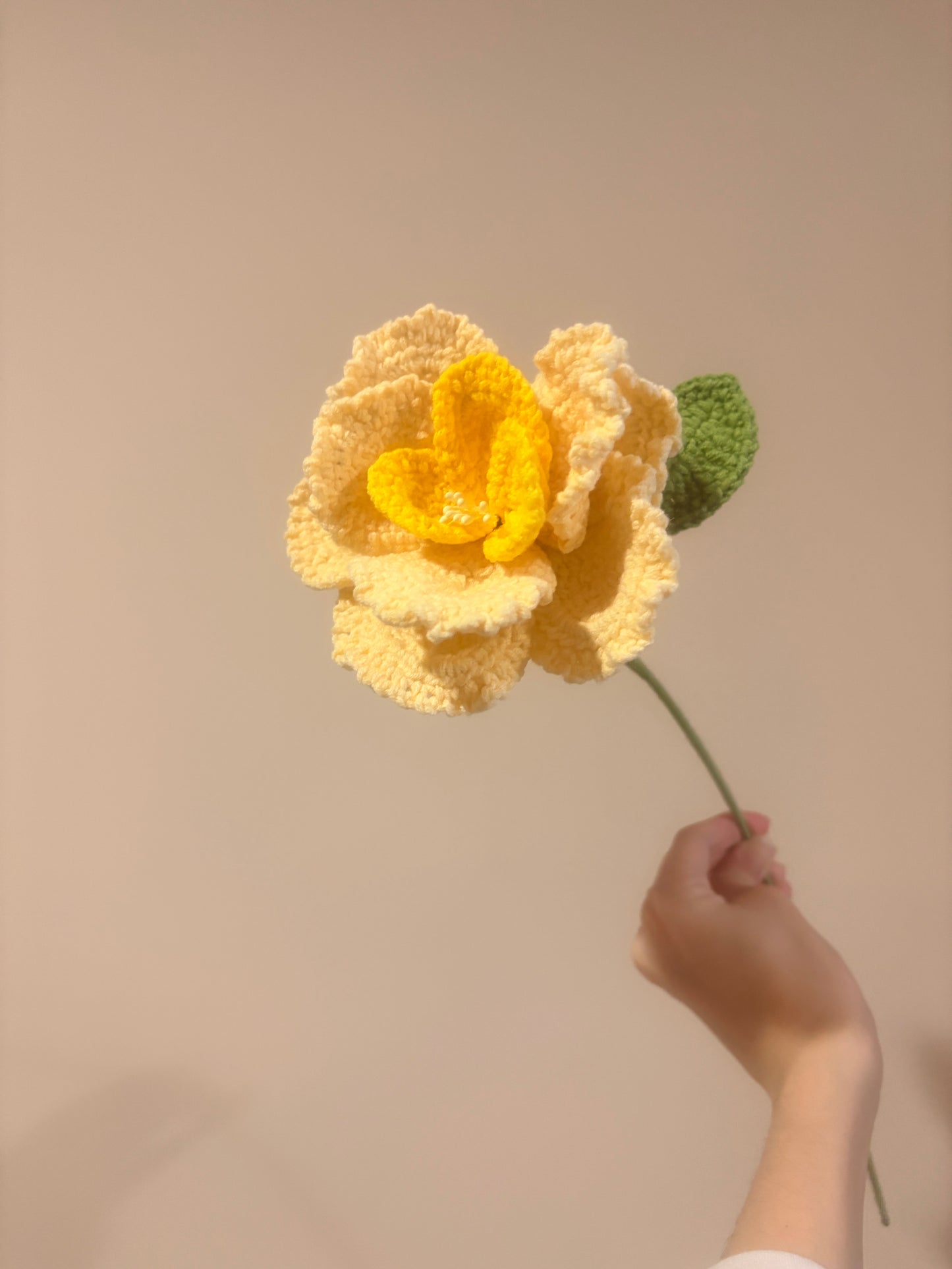 French Rose