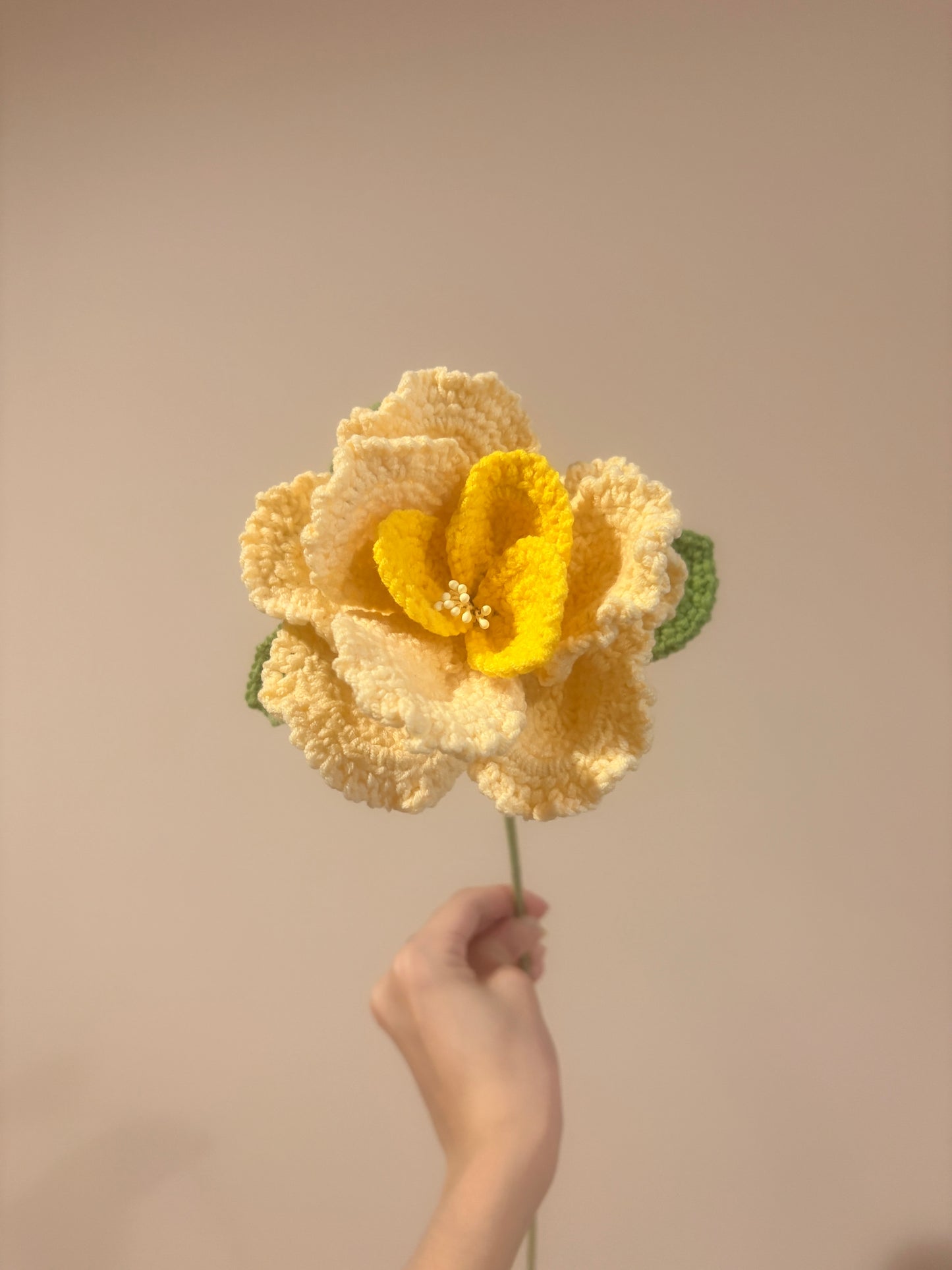 French Rose