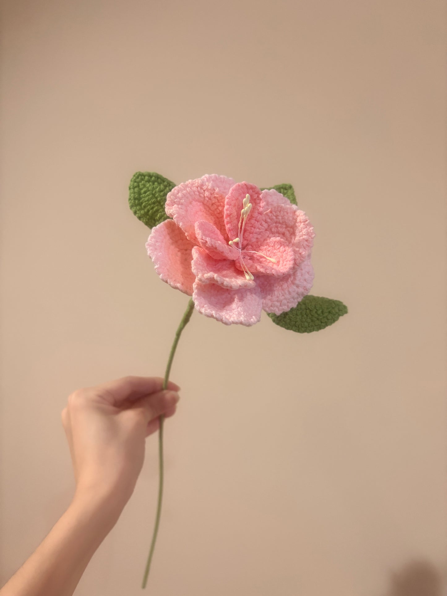 French Rose