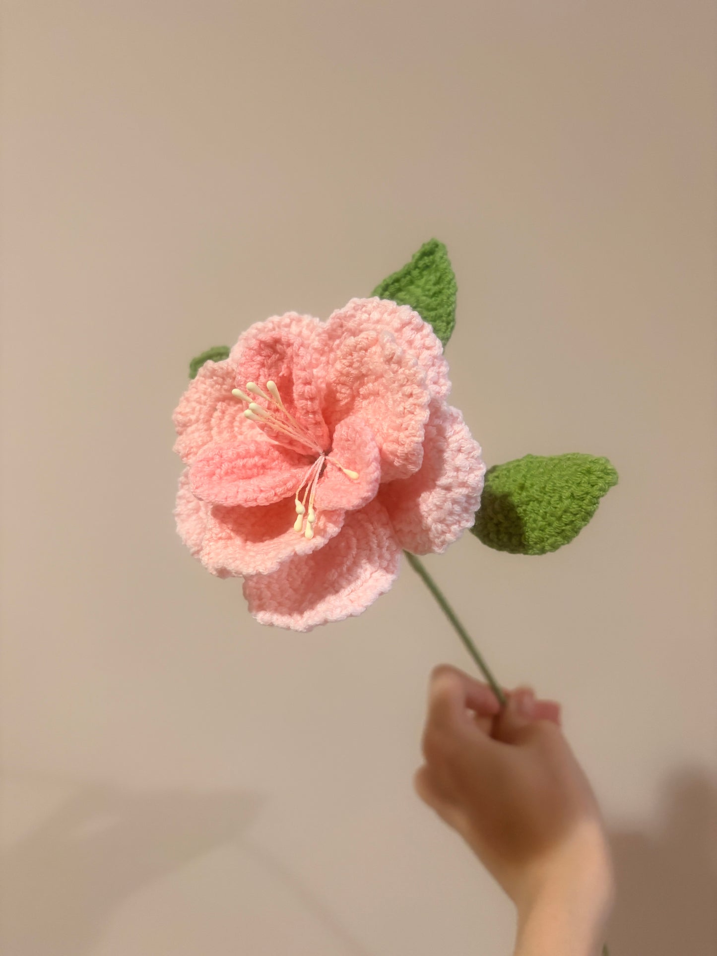 French Rose