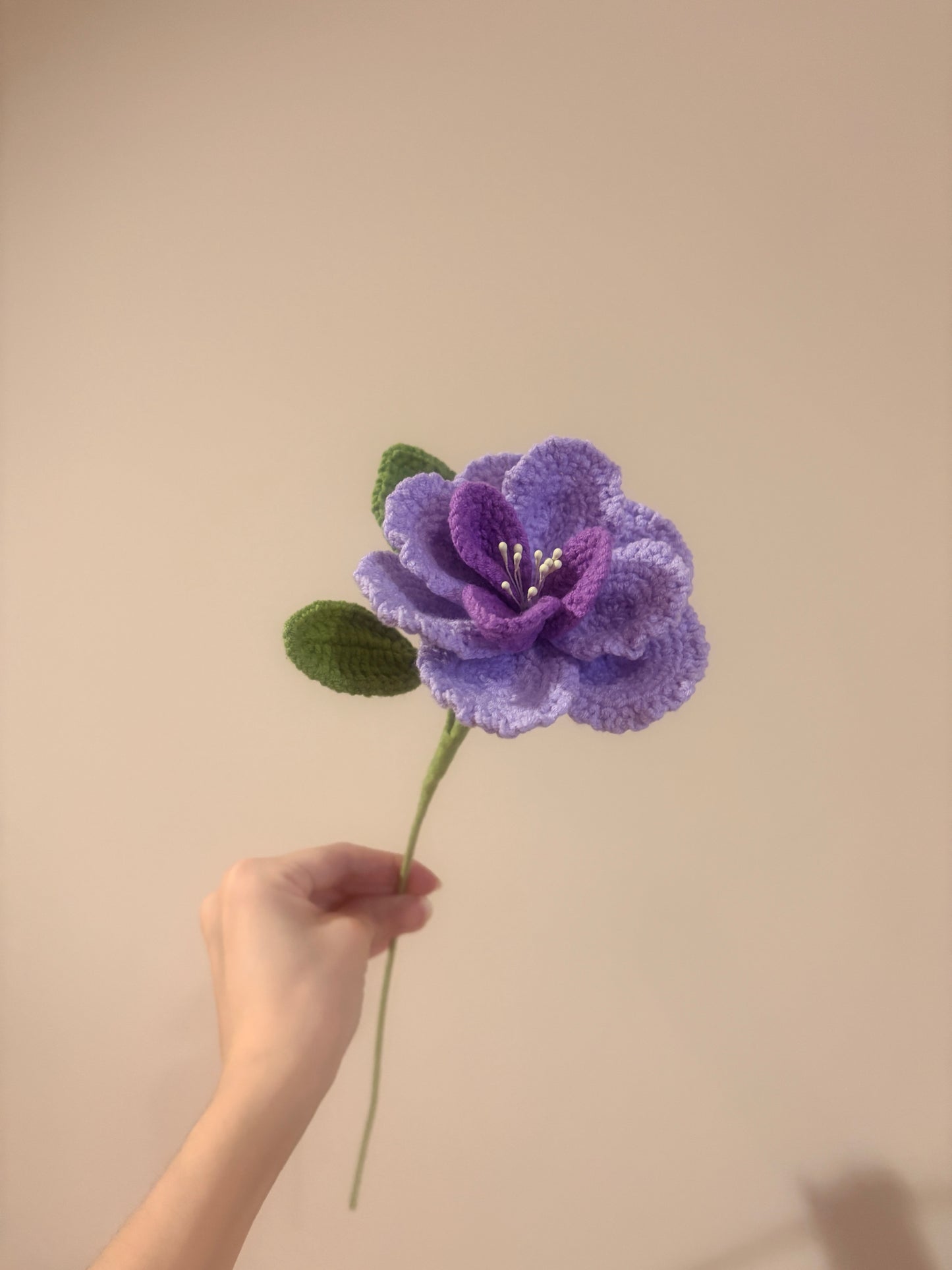 French Rose