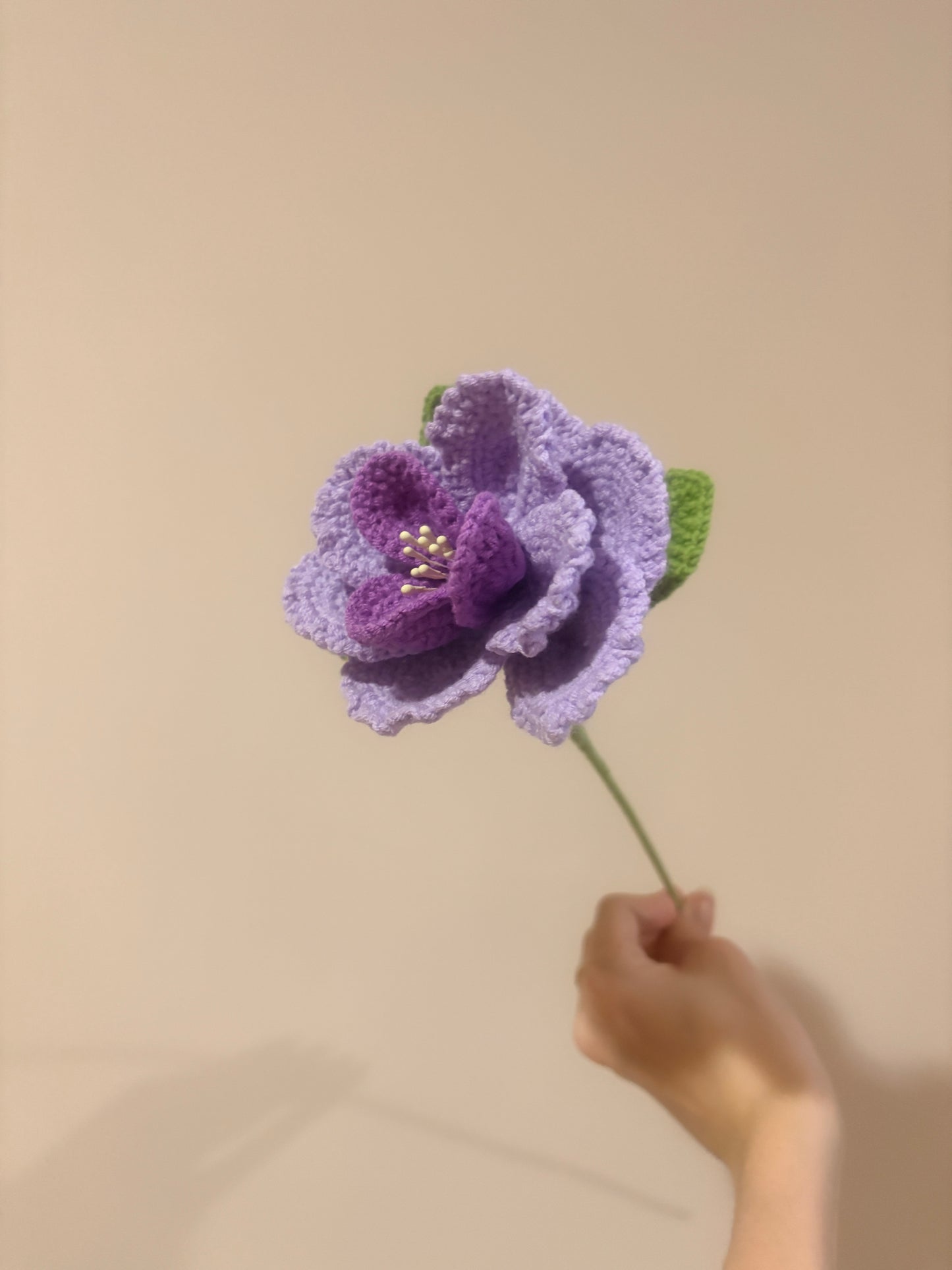 French Rose