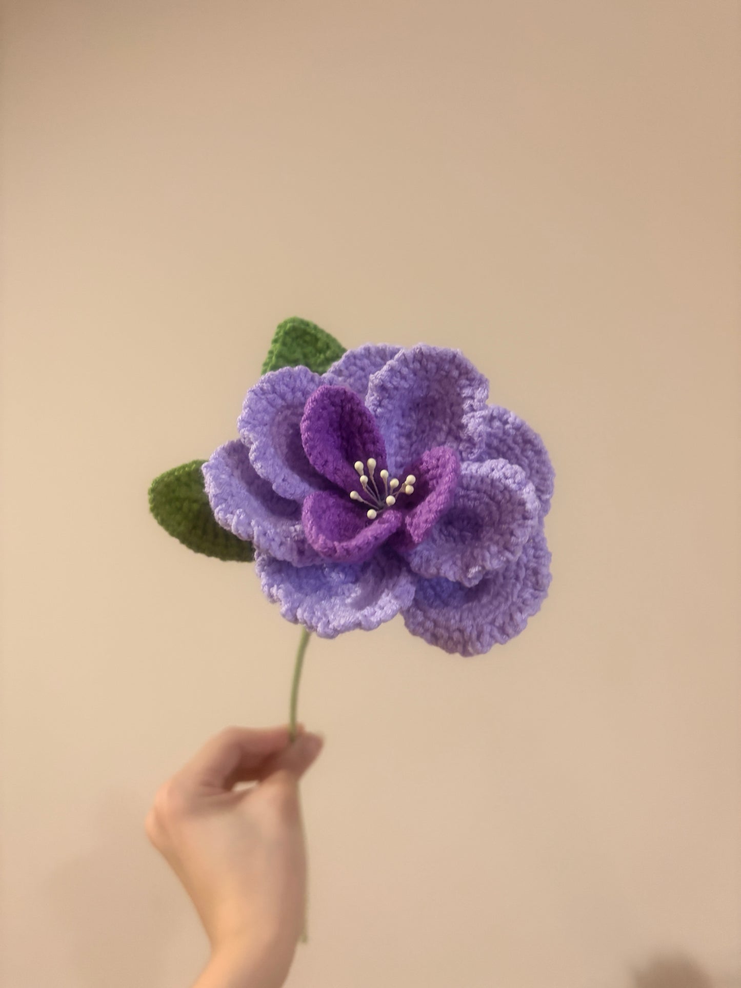 French Rose