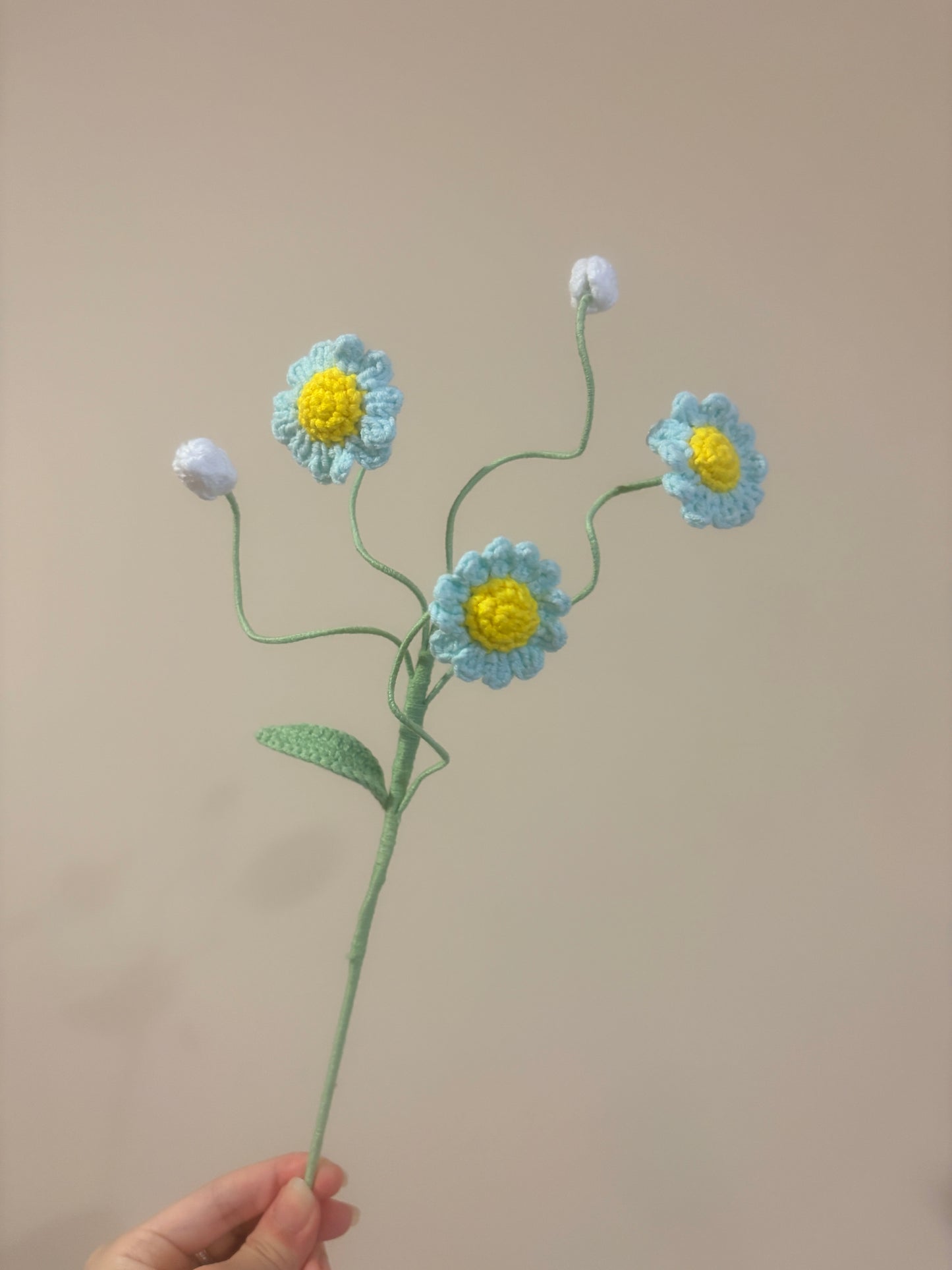 Daisy Style B