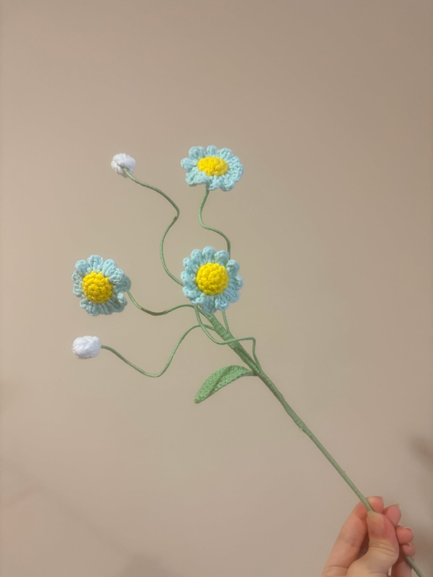 Daisy Style B