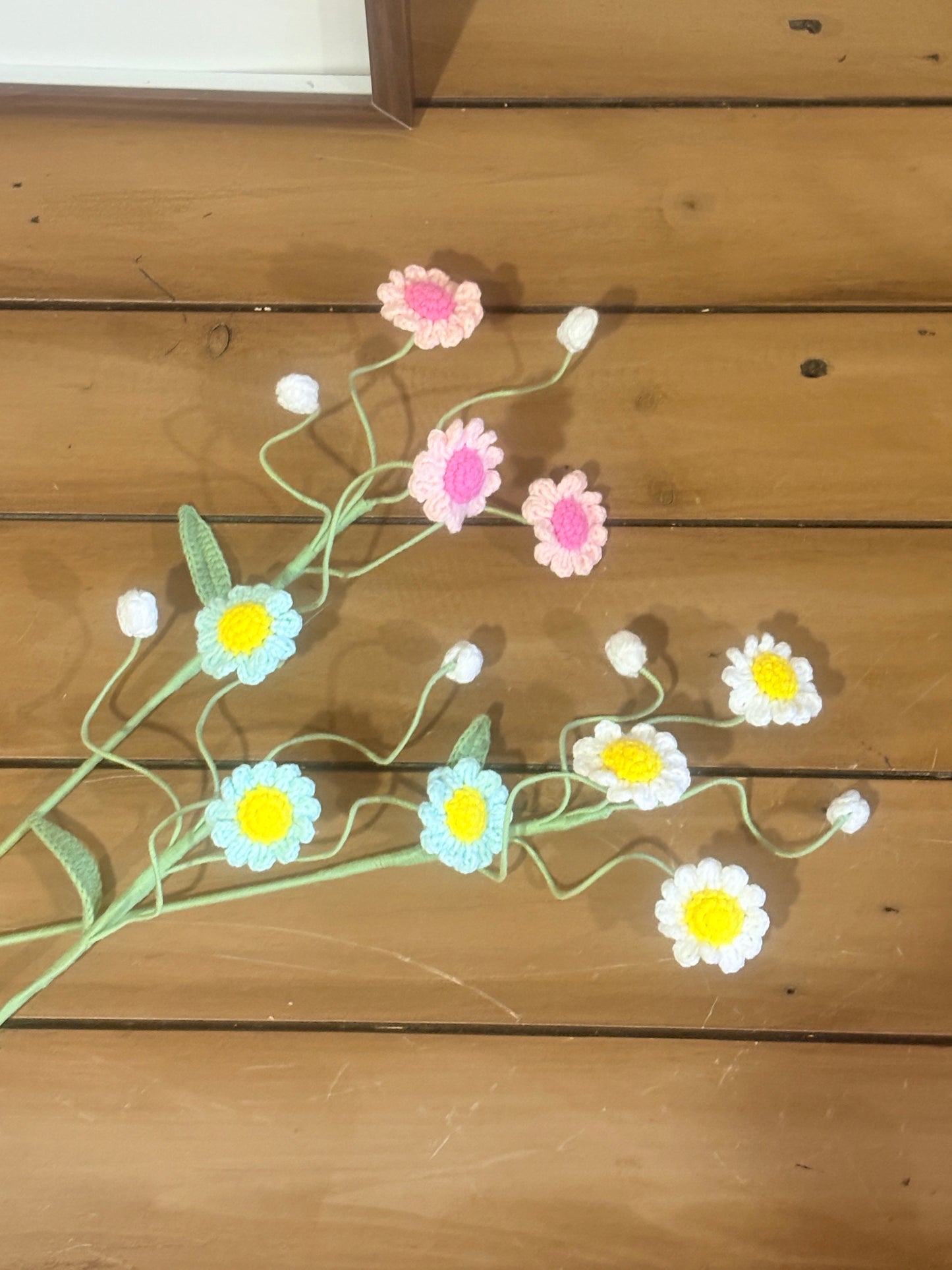 Daisy Style B