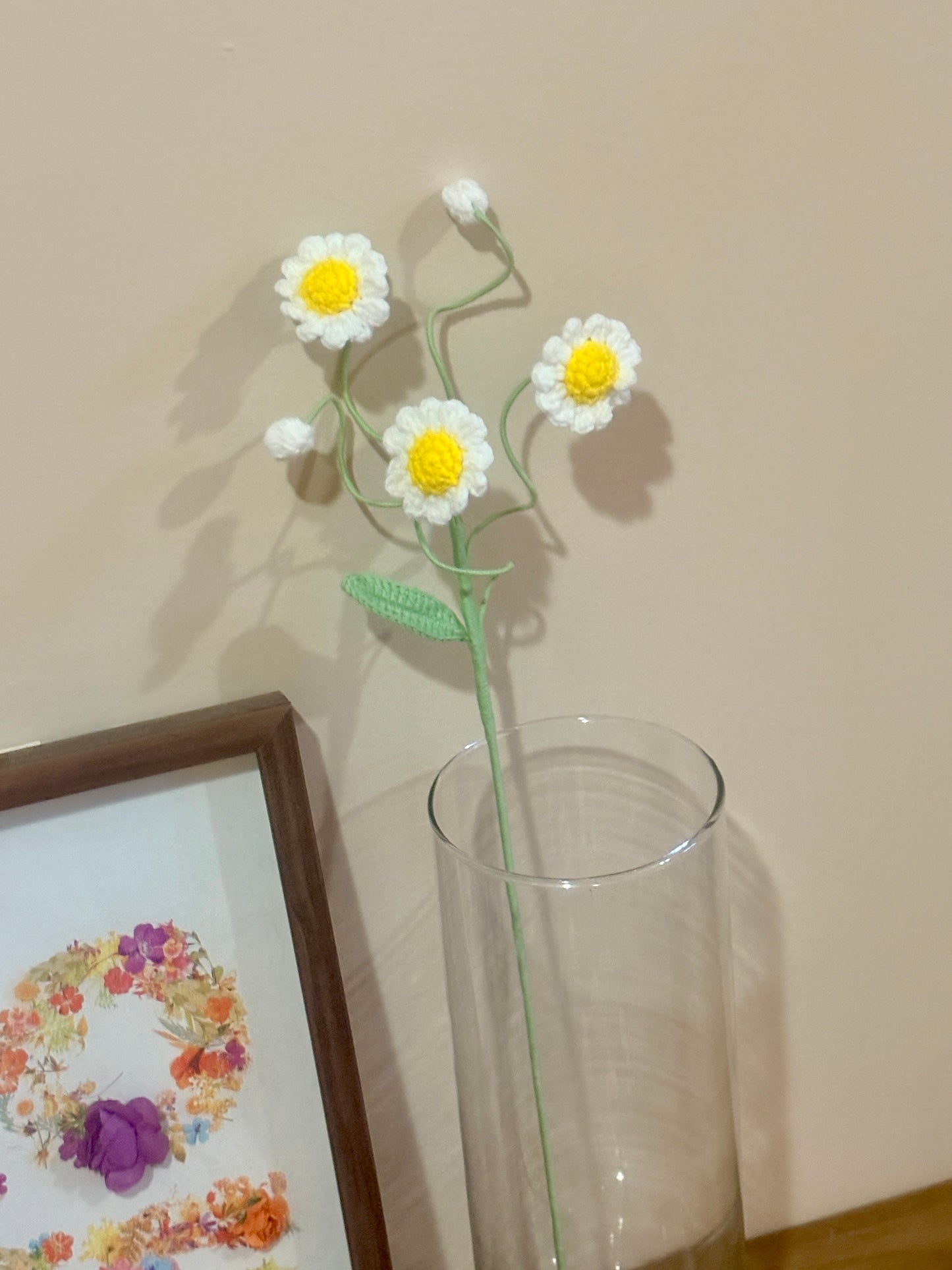 Daisy Style B
