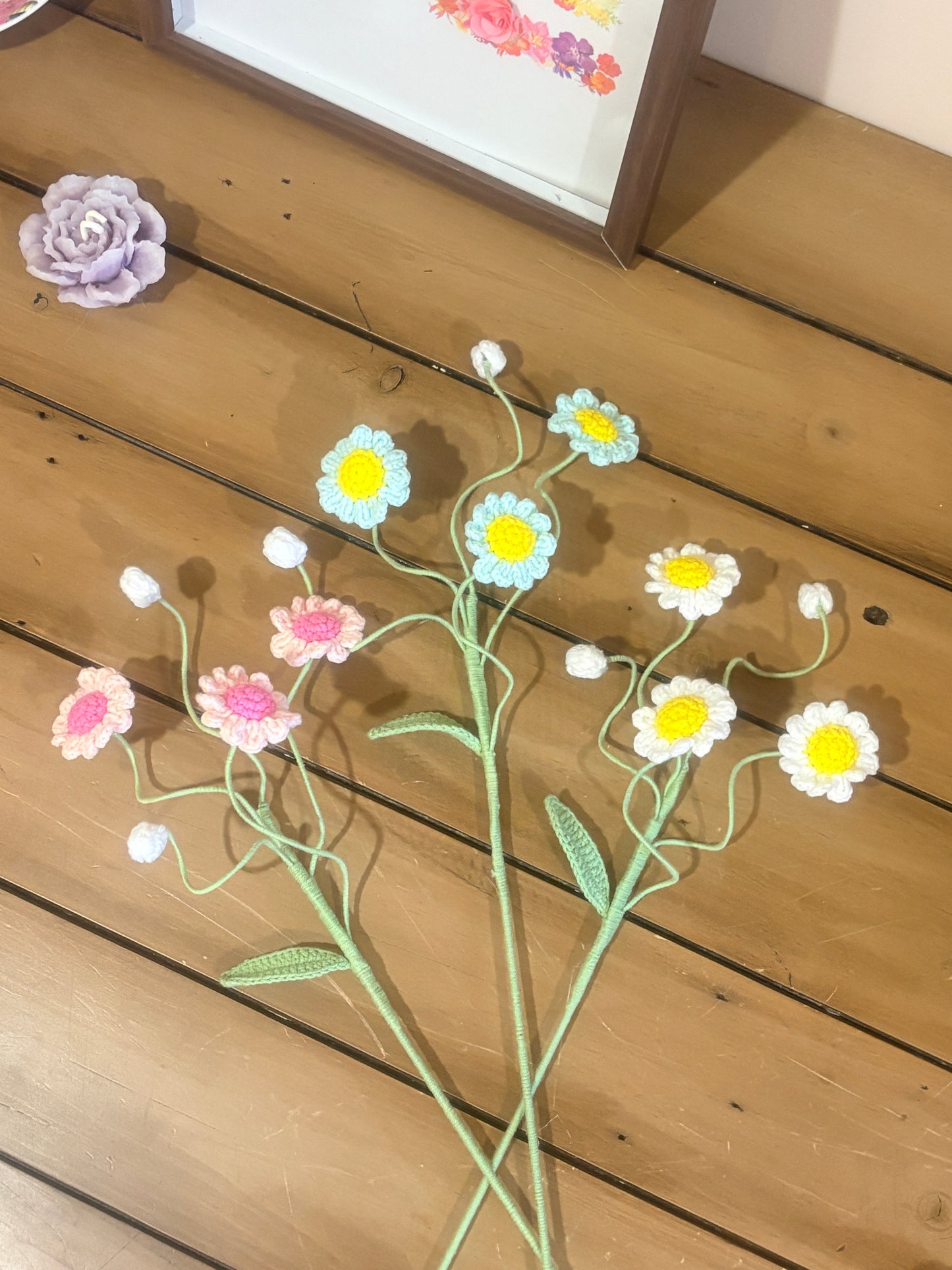 Daisy Style B